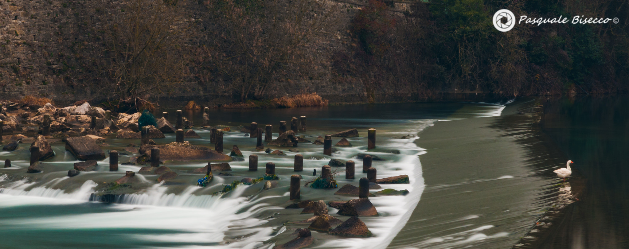 Nikon D300 sample photo. Beautiful water photography