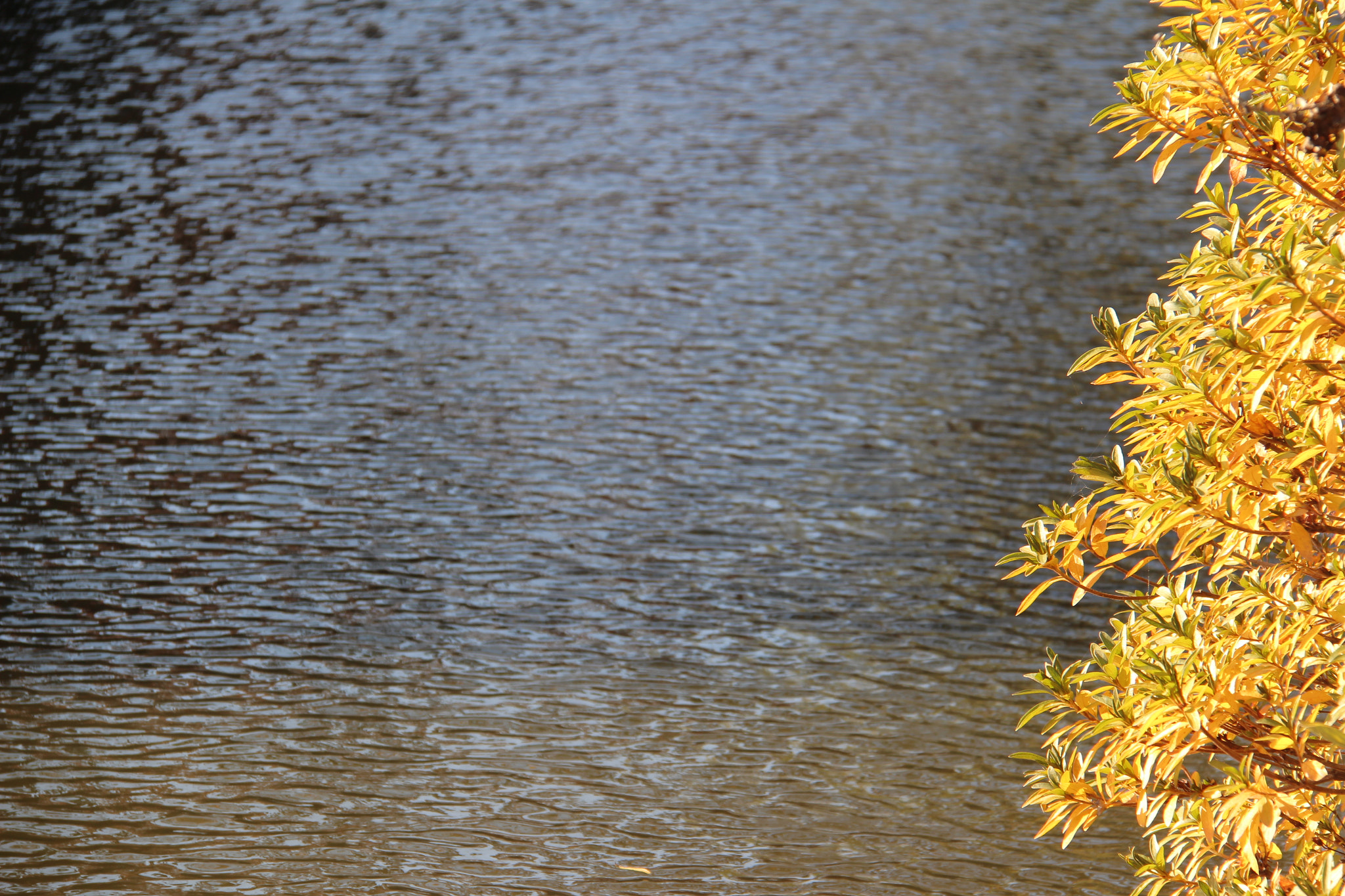 Canon EF-S 18-200mm F3.5-5.6 IS sample photo. 잔잔한 물결````마음의 평화를  느끼며   ^^  찰칵 photography
