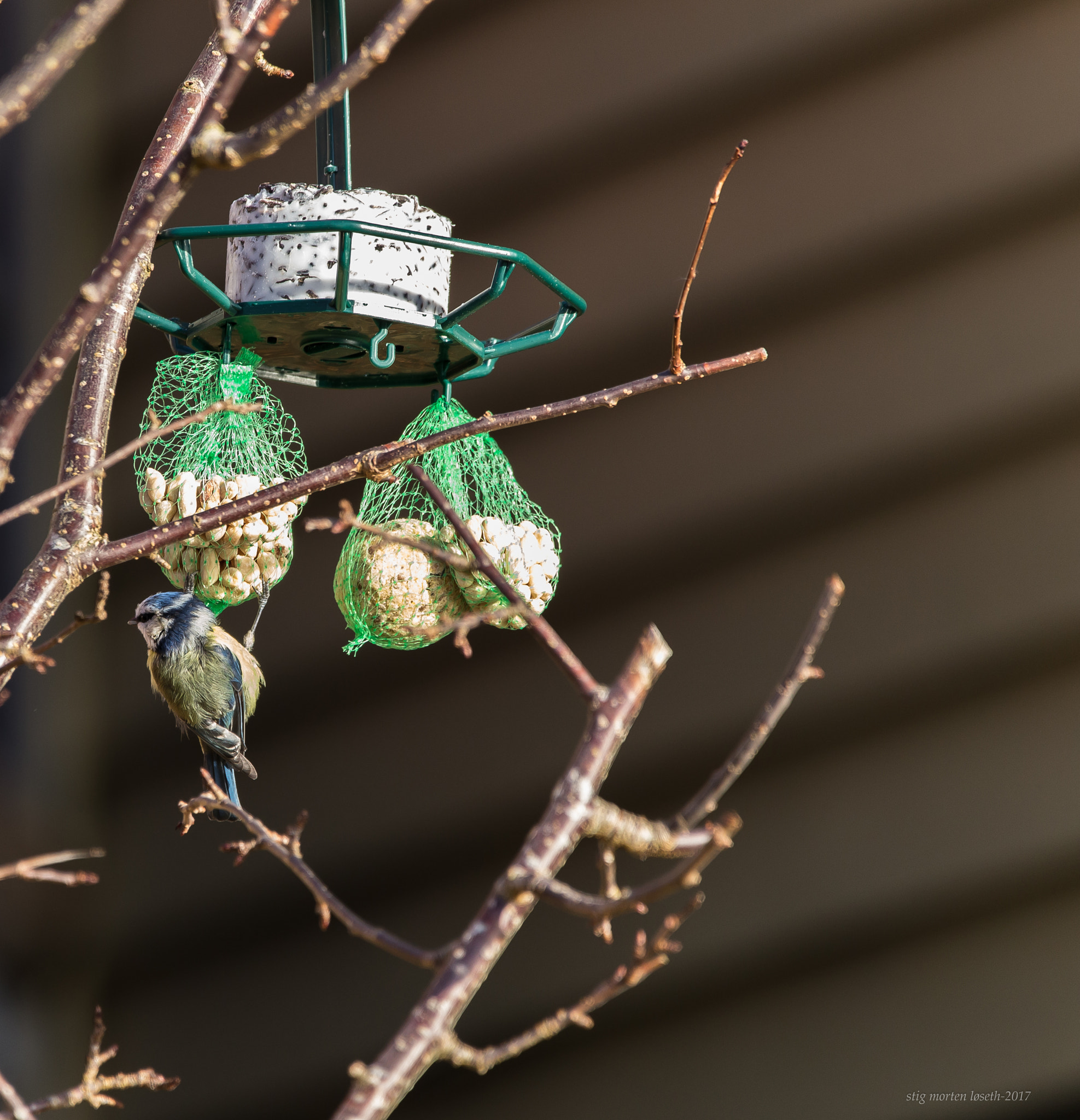 150-600mm F5-6.3 DG OS HSM | Contemporary 015 sample photo. Feed:) photography