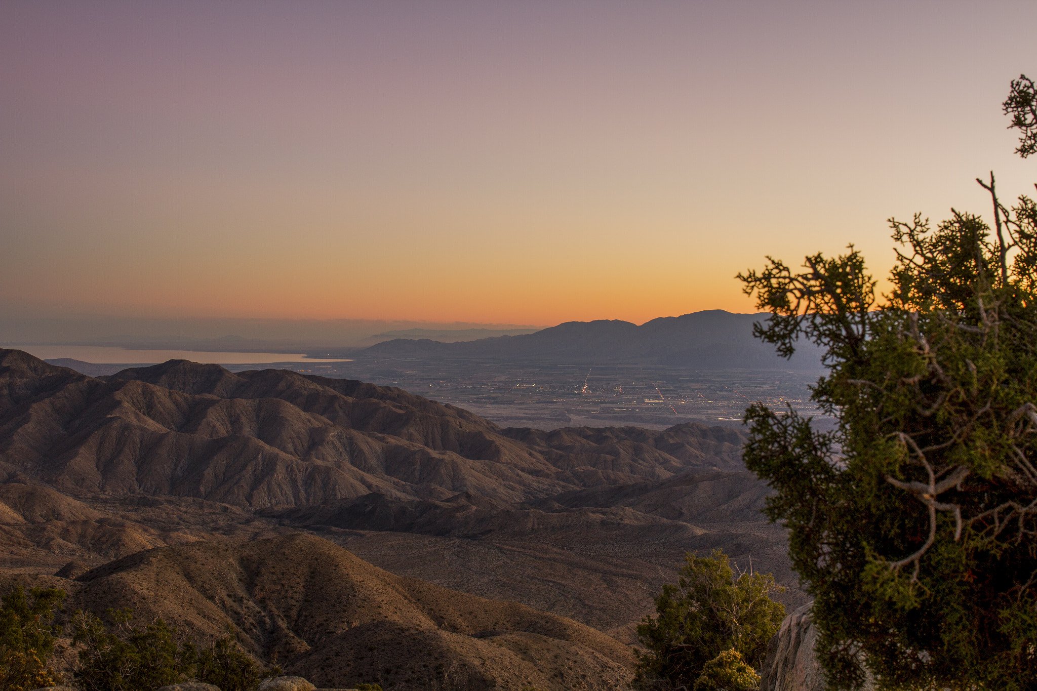 Canon EF 24-70mm F4L IS USM sample photo. Palm springs photography