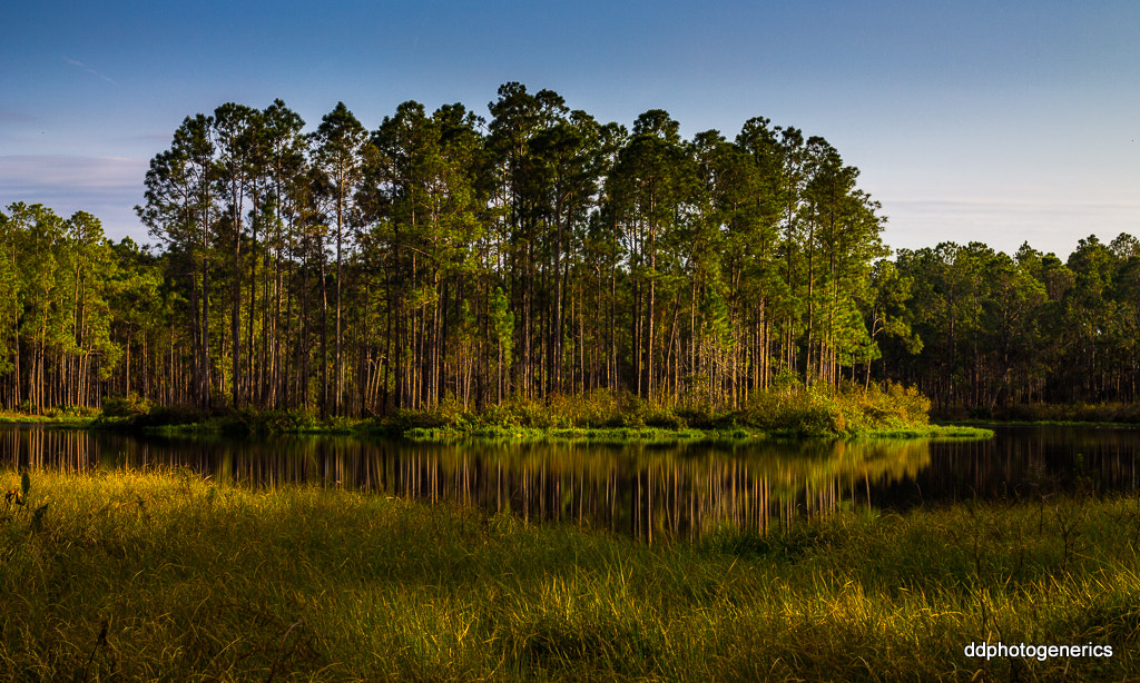 Canon EOS 1100D (EOS Rebel T3 / EOS Kiss X50) sample photo. A calm forest lake... photography