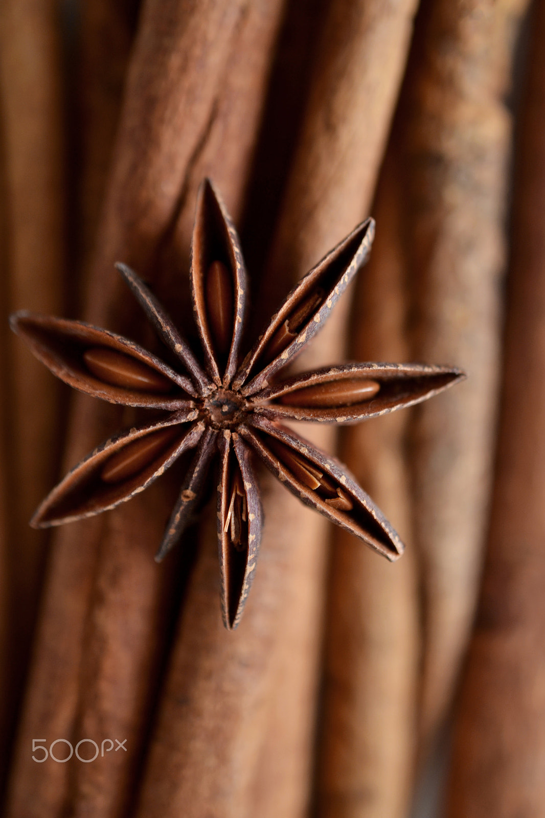 Nikon AF-S DX Micro Nikkor 40mm F2.8 sample photo. Star anise on cinnamon photography