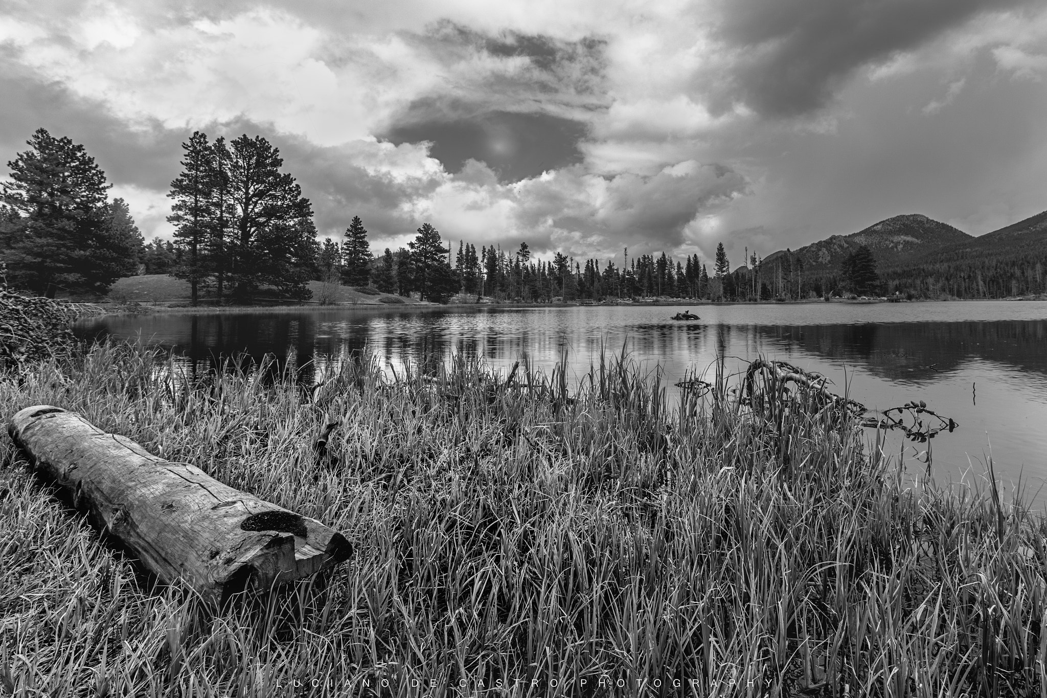 Canon EOS 760D (EOS Rebel T6s / EOS 8000D) sample photo. Sprague light hunt photography