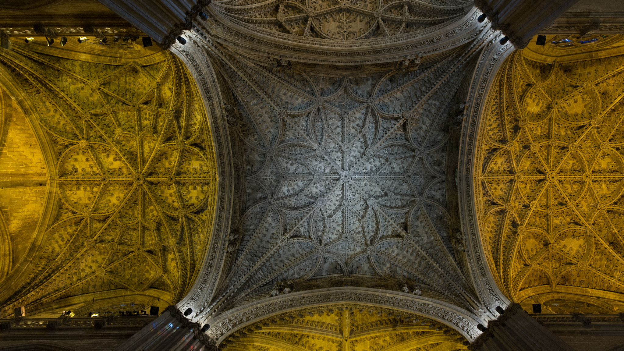 Nikon D3S sample photo. Look at those details photography