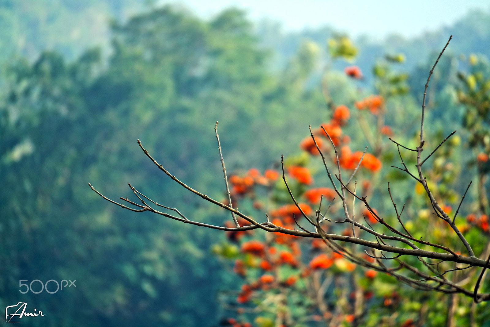 Samsung NX30 + NX 50-200mm F4-5.6 sample photo. A view from himchori photography