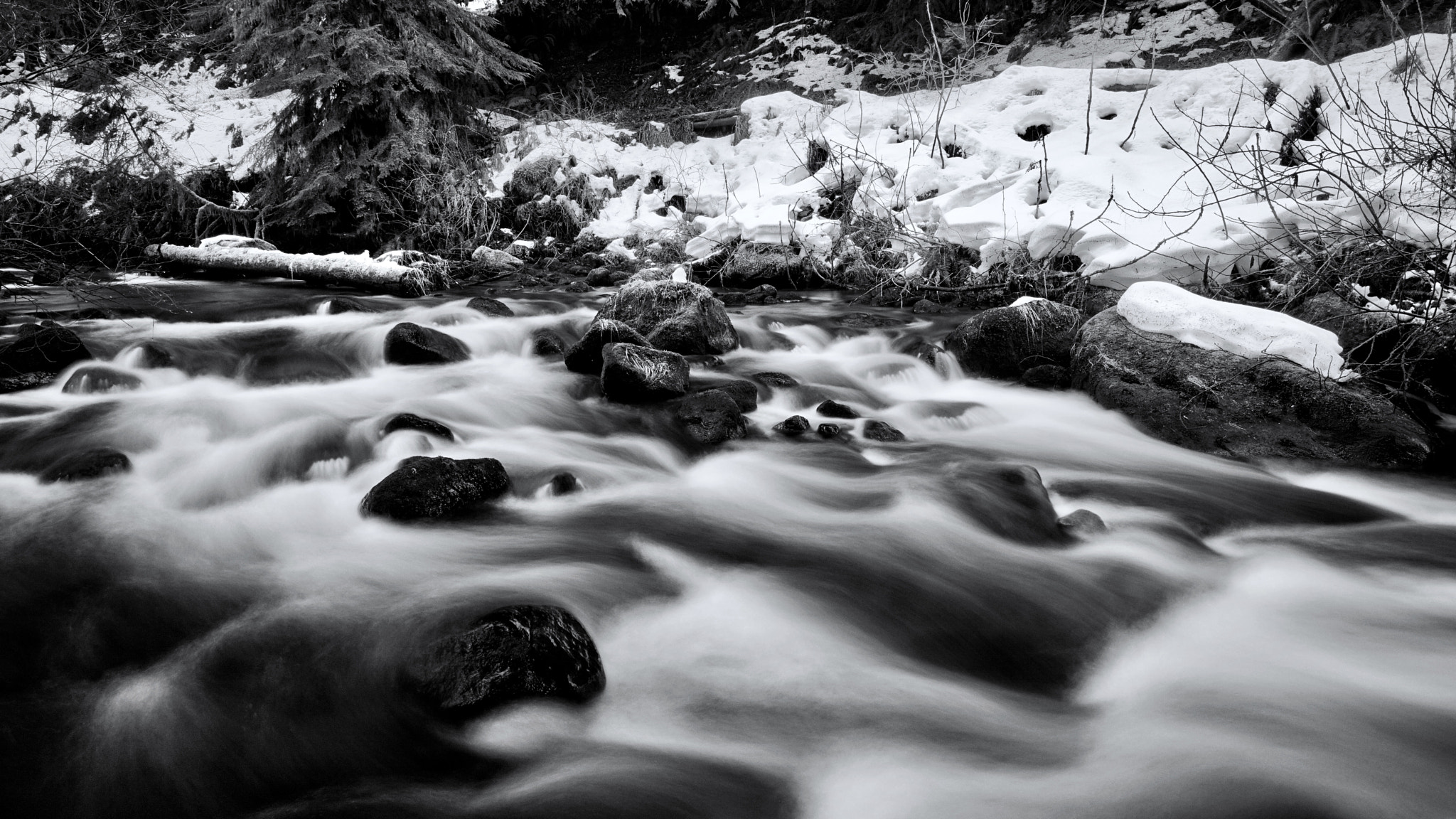 Sony E 10-18mm F4 OSS sample photo. Camp creek rapids, oregon cascades.  black and white version of an earlier color image. photography