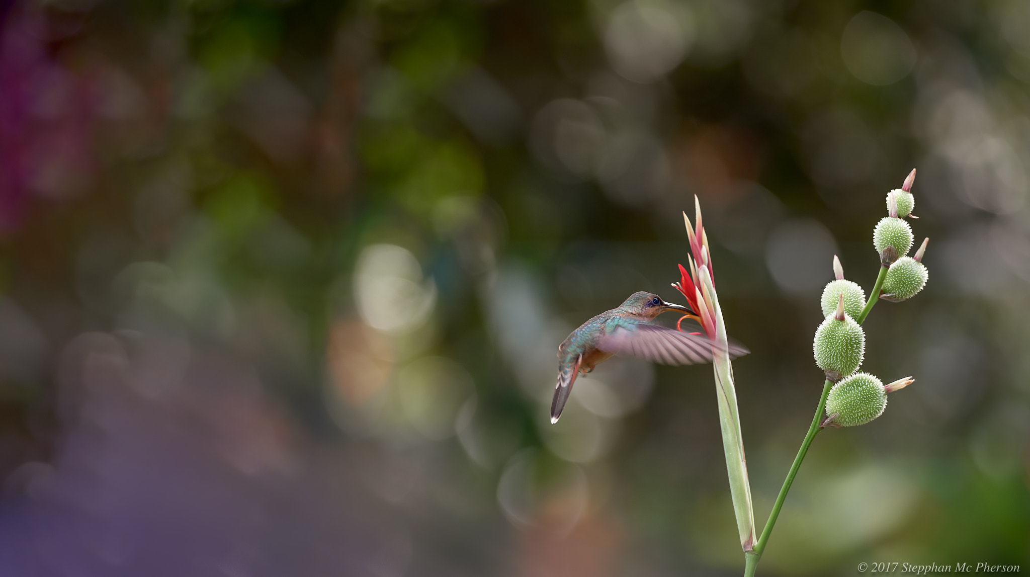 Nikon D810 sample photo. Perfect moment 2 photography