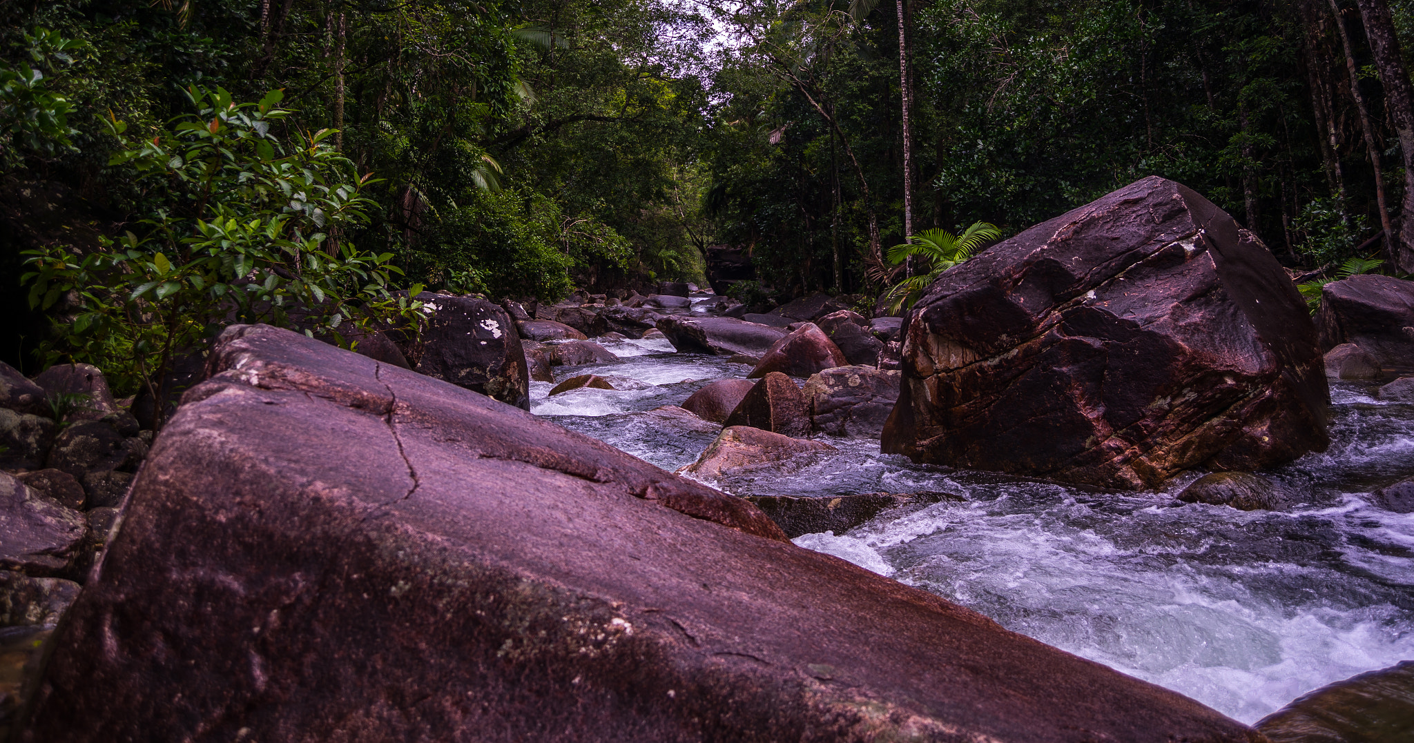 AF Zoom-Nikkor 28-70mm f/3.5-4.5 sample photo. Finch hatton gorge near makay in queensland photography