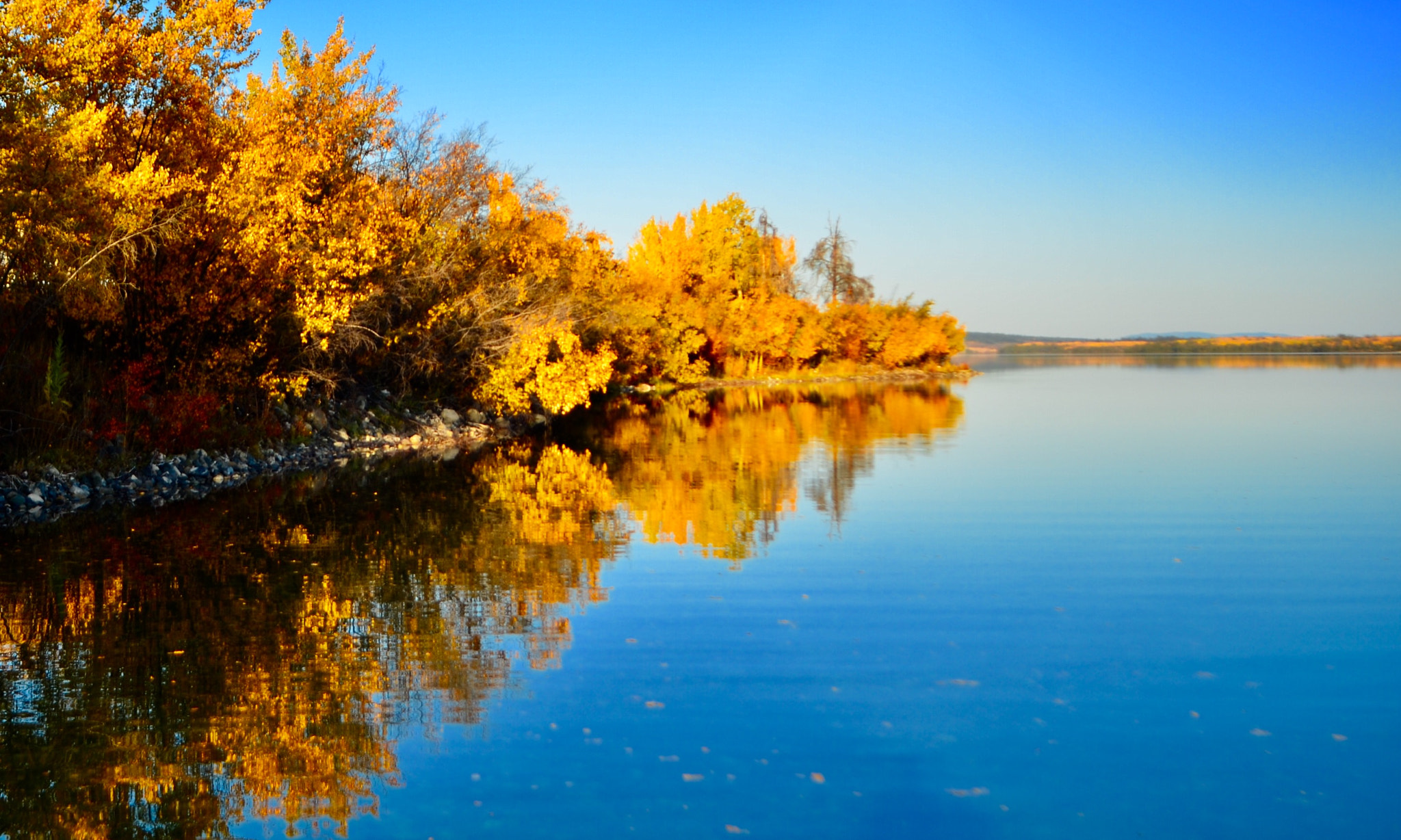 Nikon D7000 + AF Nikkor 50mm f/1.8 sample photo. Autumn reflections photography