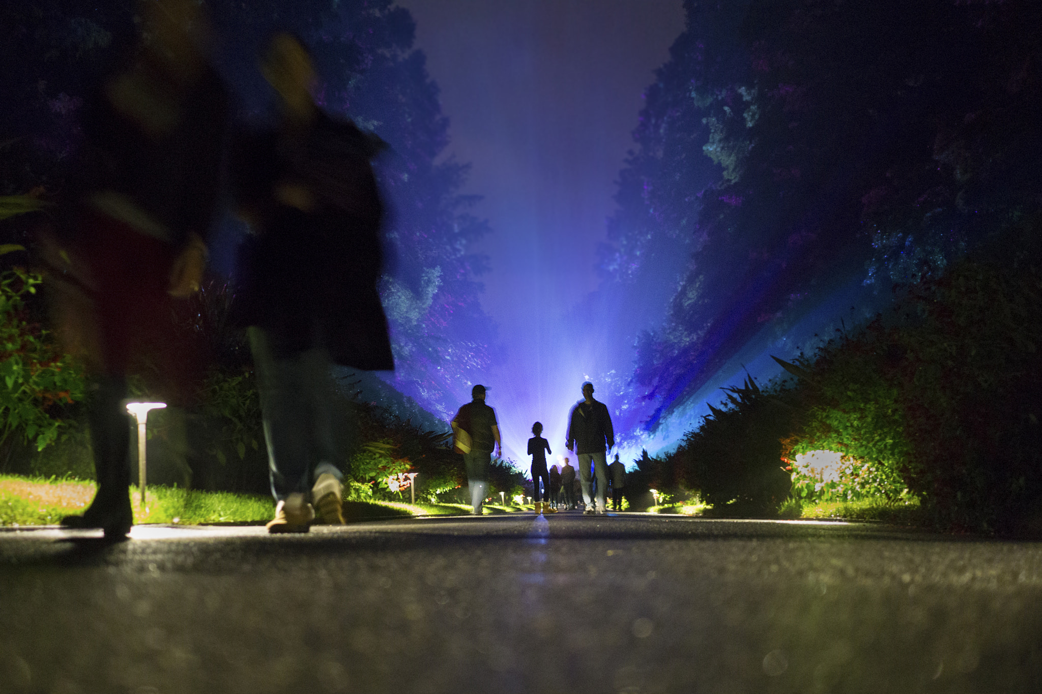 Sony Sonnar T* E 24mm F1.8 ZA sample photo. Alien among us? photography