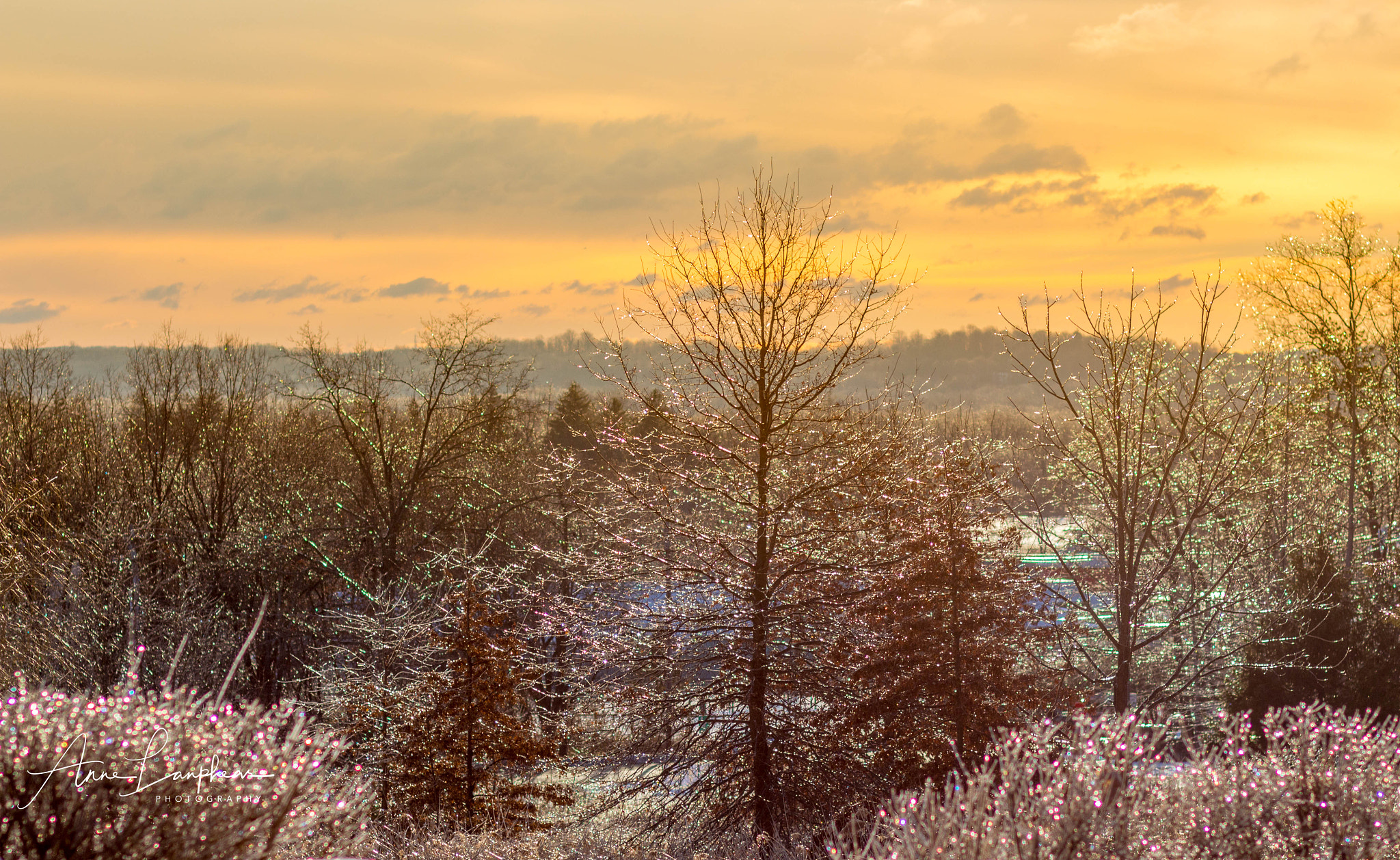 Canon EF 85mm F1.8 USM sample photo. Icy sunrise photography