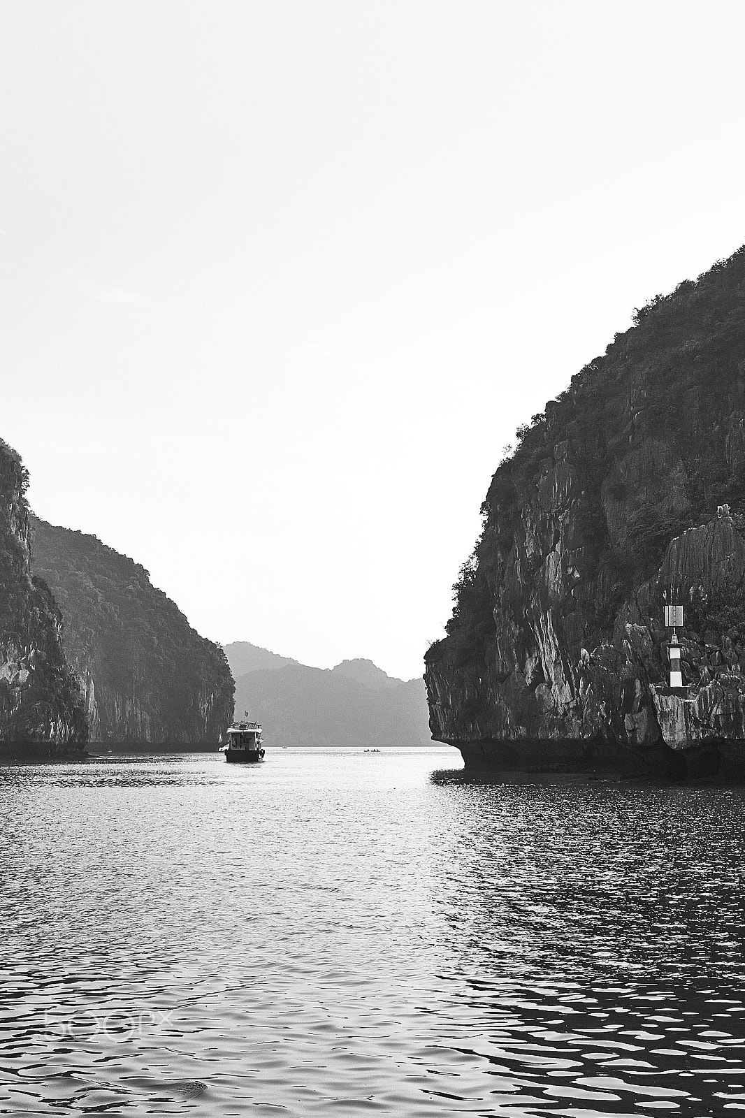Sony a7 sample photo. Cat ba photography