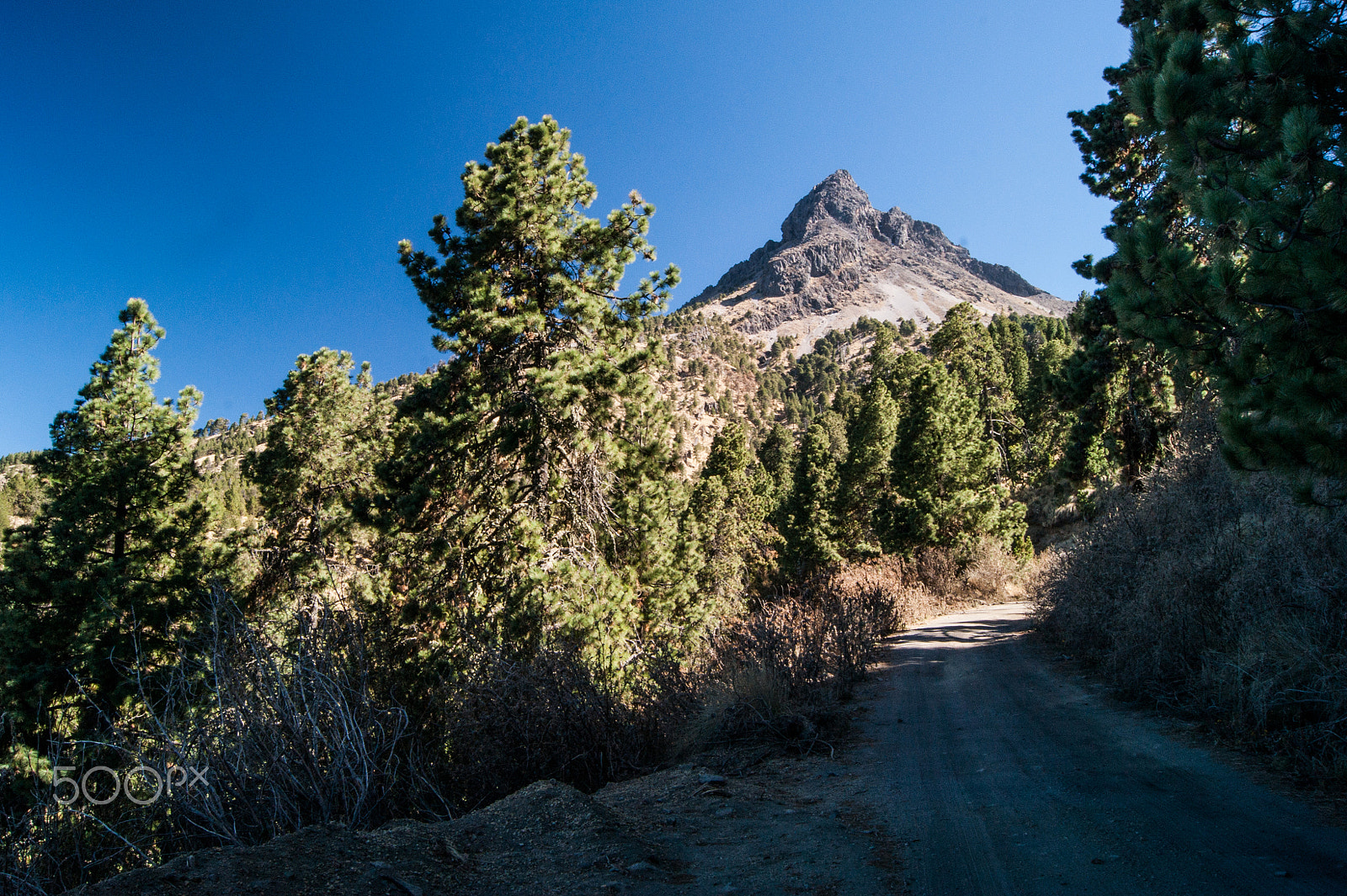 Sony Alpha DSLR-A380 + Sony DT 18-55mm F3.5-5.6 SAM sample photo. Road to the peak photography