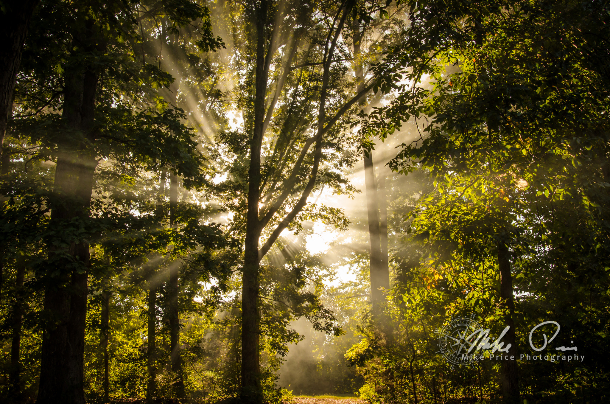 Nikon AF Nikkor 24-85mm F2.8-4D IF sample photo. Smoke & sunbeams photography