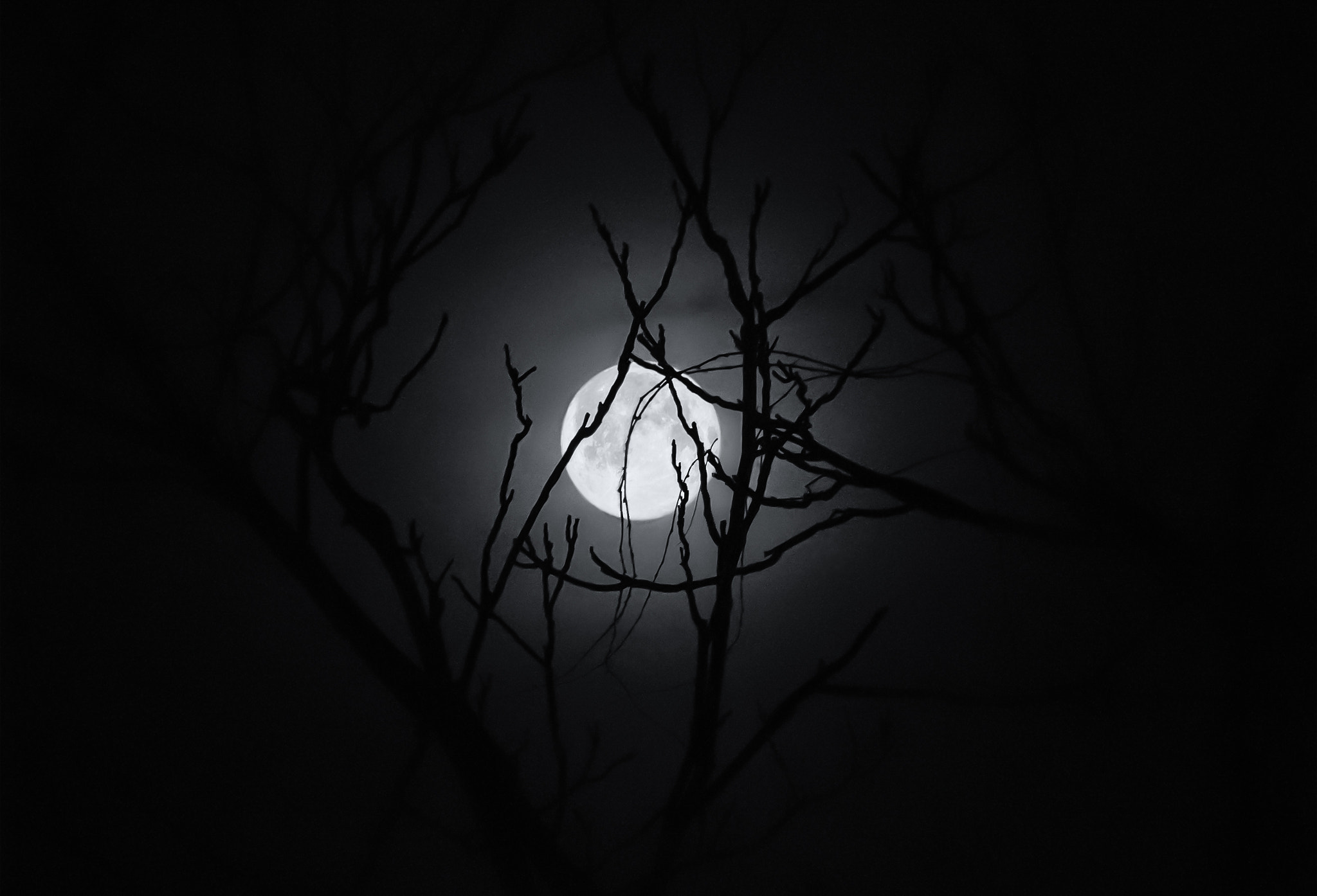 Sony E 55-210mm F4.5-6.3 OSS sample photo. Snow moon photography