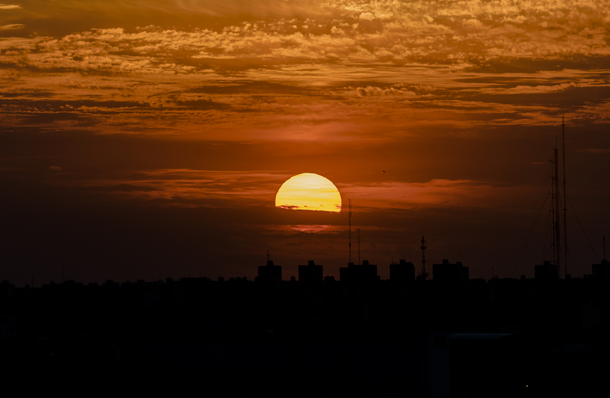 AF Nikkor 300mm f/4 IF-ED sample photo. Urban summer sun photography