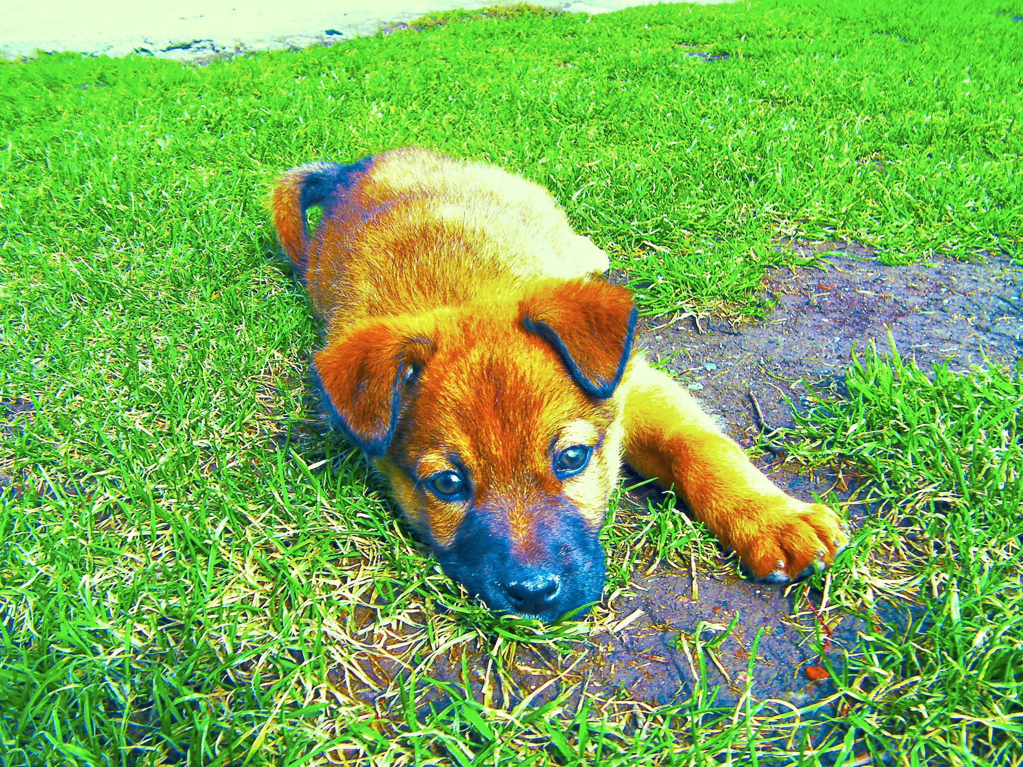 SANYO CG9 sample photo. Sanyo digital camera photography