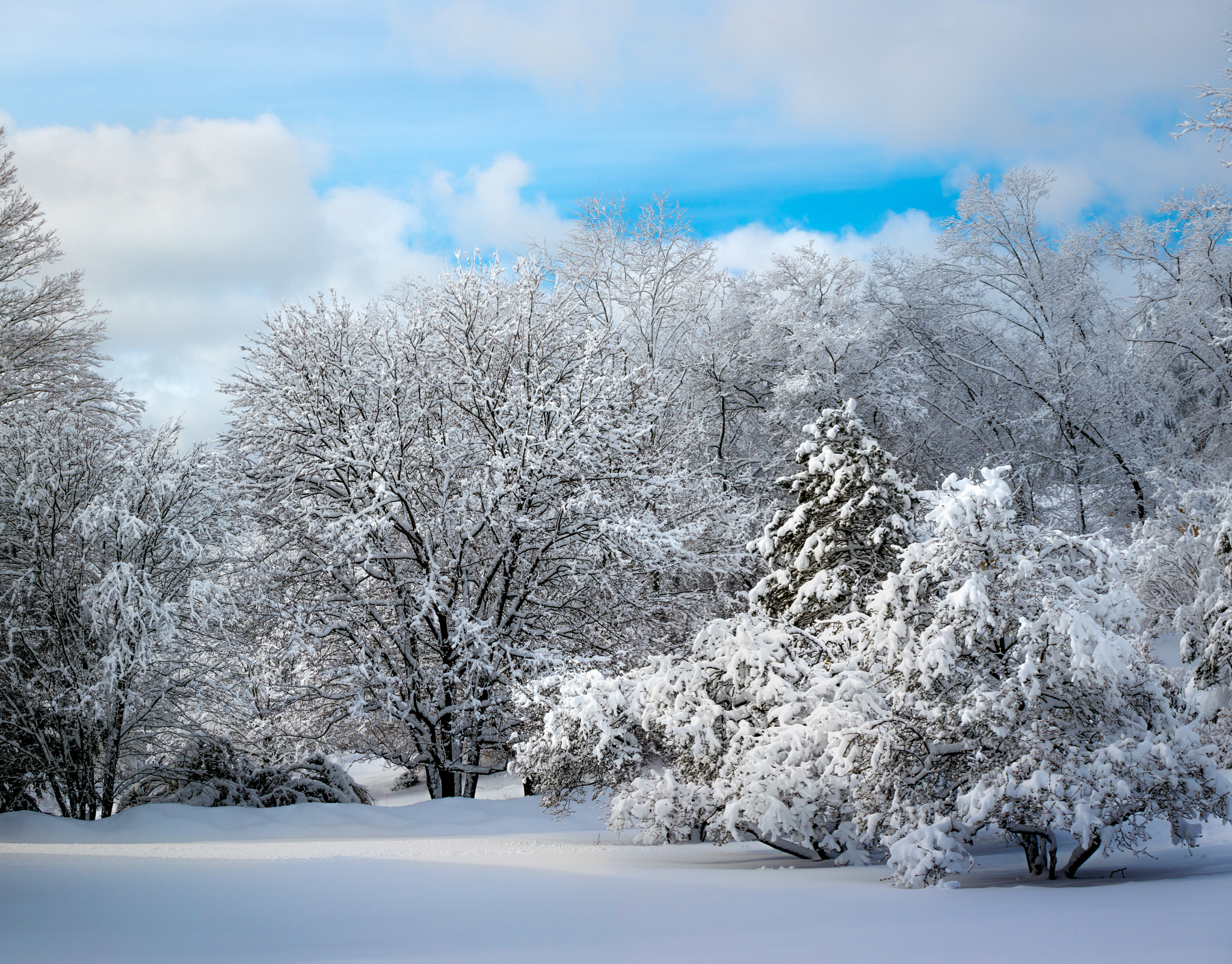 Canon EF 70-300mm F4-5.6L IS USM sample photo. Light enters snowscape photography