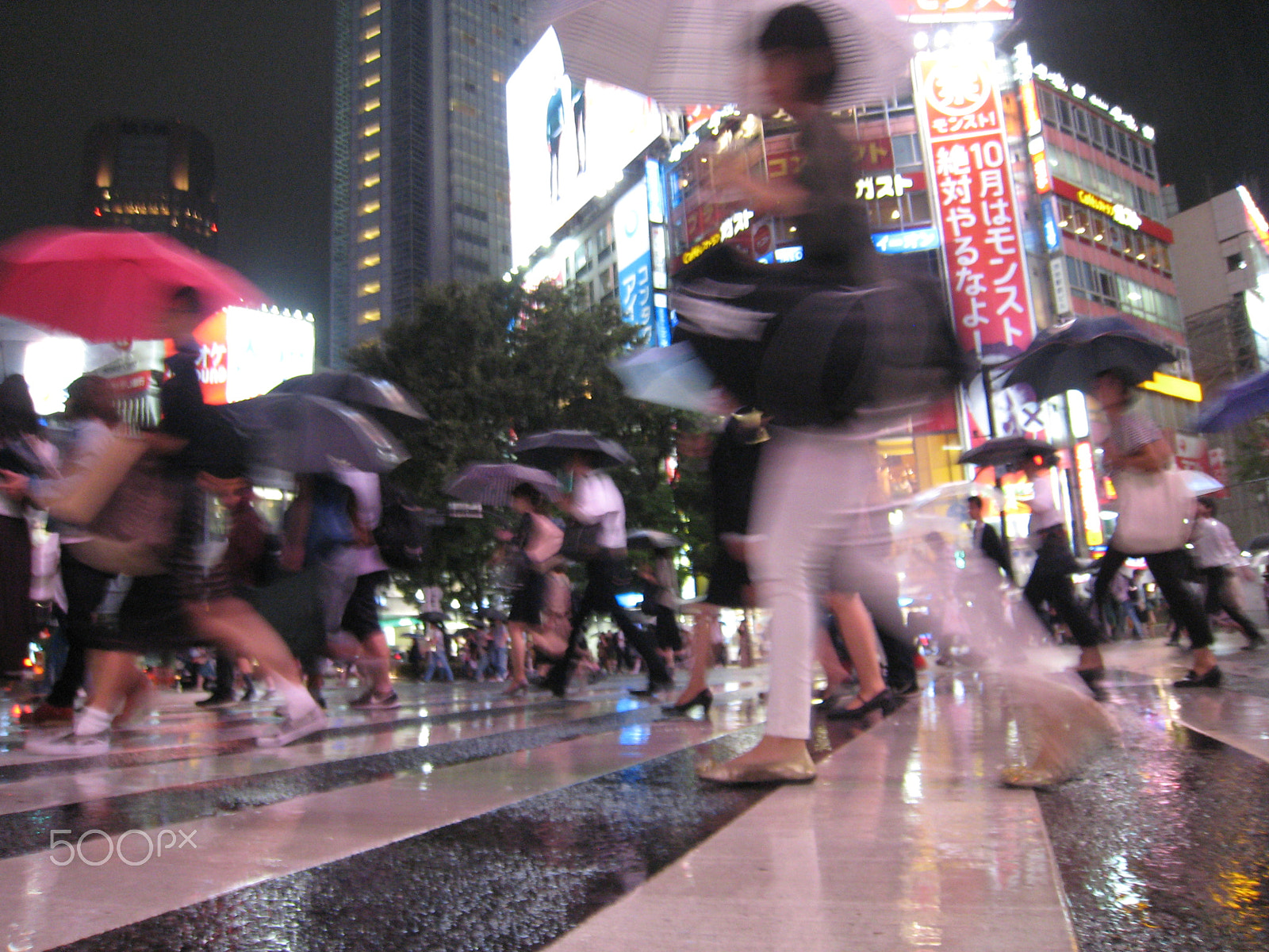 Canon POWERSHOT SD800 IS sample photo. Shibuya station people stream photography