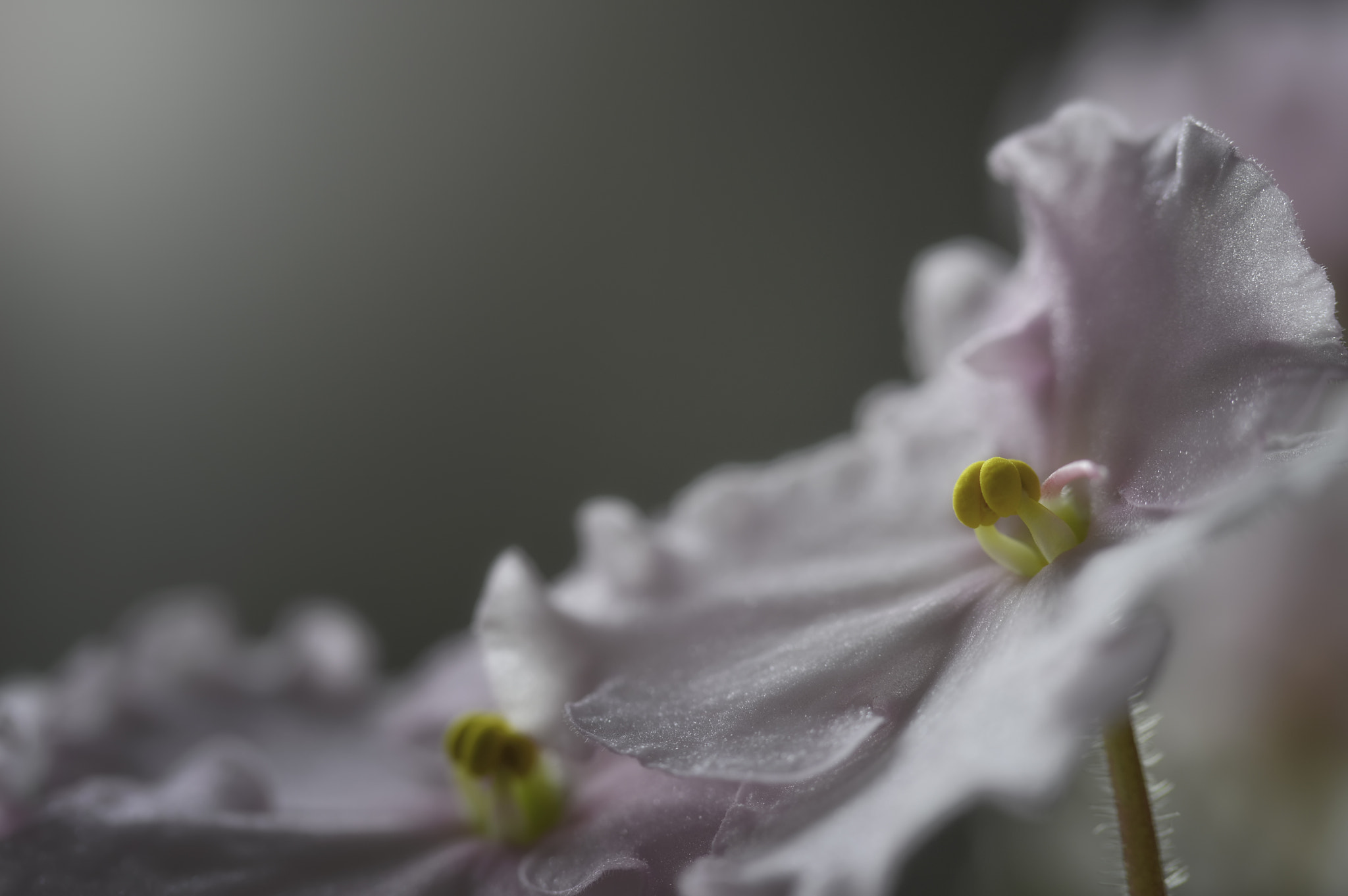 Nikon D3200 sample photo. Catching the light photography