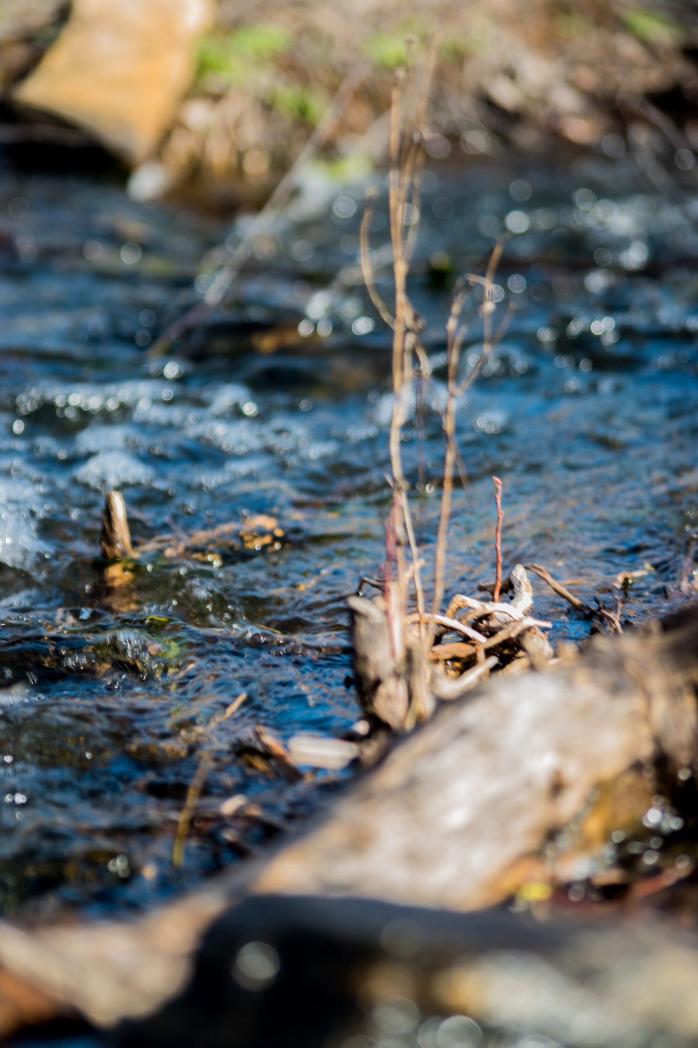 Nikon D5500 + Sigma 70-300mm F4-5.6 DG Macro sample photo