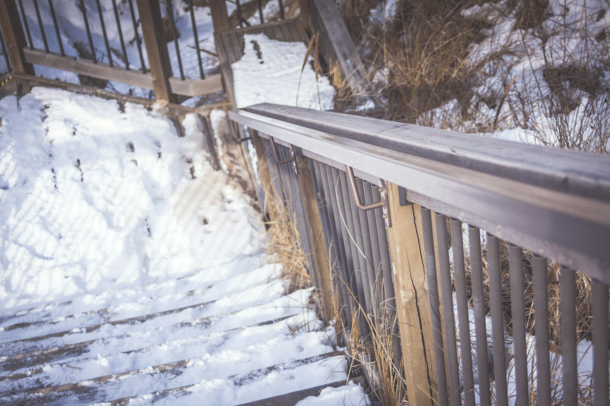 Canon EF 35-80mm F4.0-5.6 III sample photo