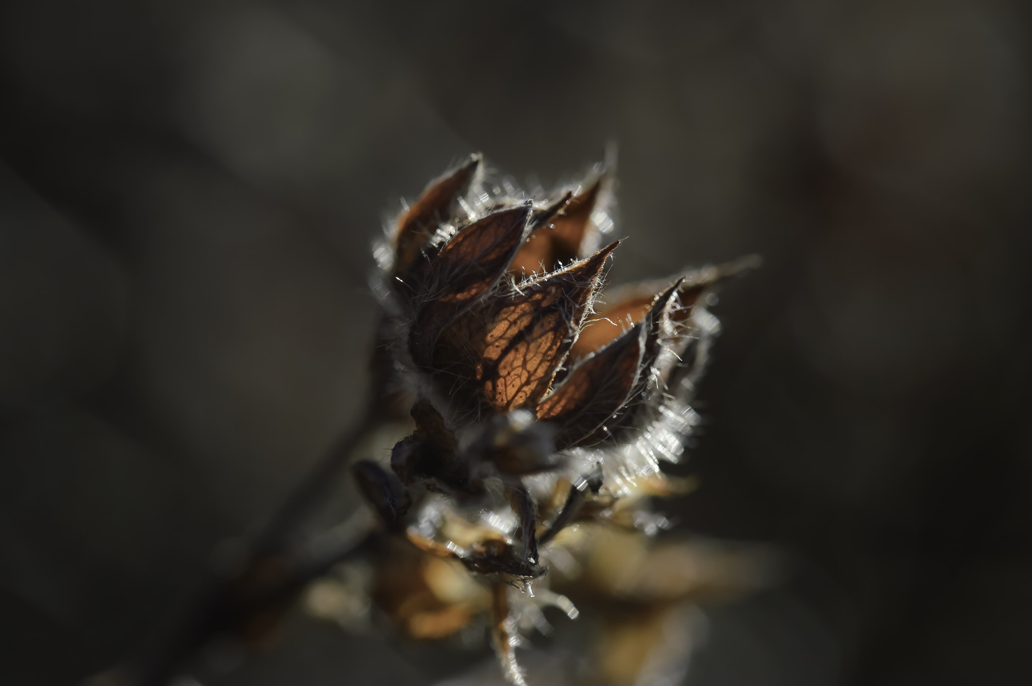 Nikon D3200 sample photo. For the next generation photography