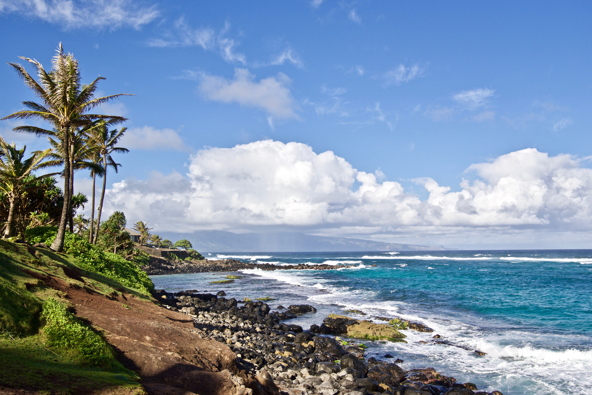 Sony FE 24-70mm F2.8 GM sample photo. Mama's beach house coastline, maui, hi photography