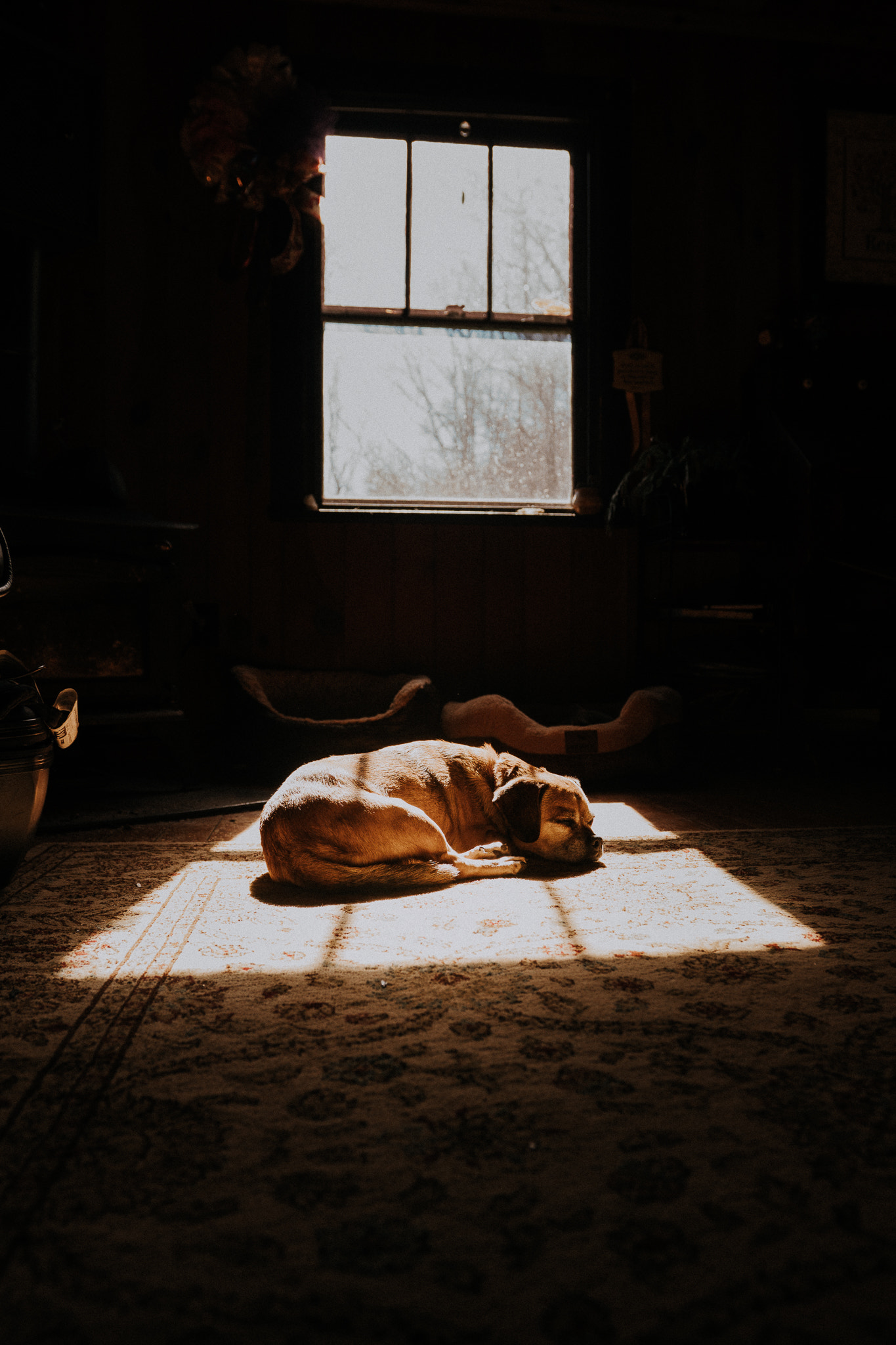 Sony a6300 + 18-35mm F1.8 DC HSM | Art 013 sample photo. Dsc photography