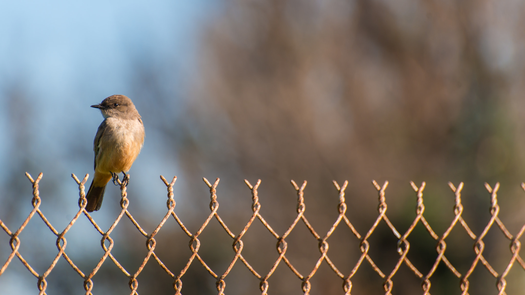 Nikon D800E sample photo. Bolsa chica wetland usa photography