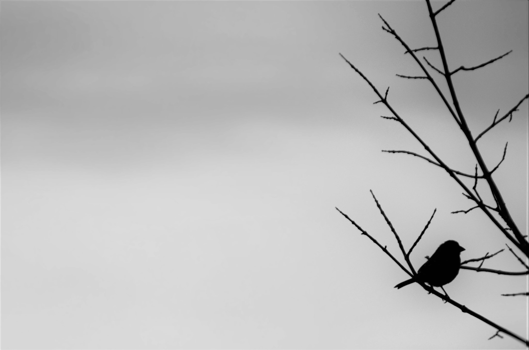 Sigma 18-250mm F3.5-6.3 DC OS HSM sample photo. () photography
