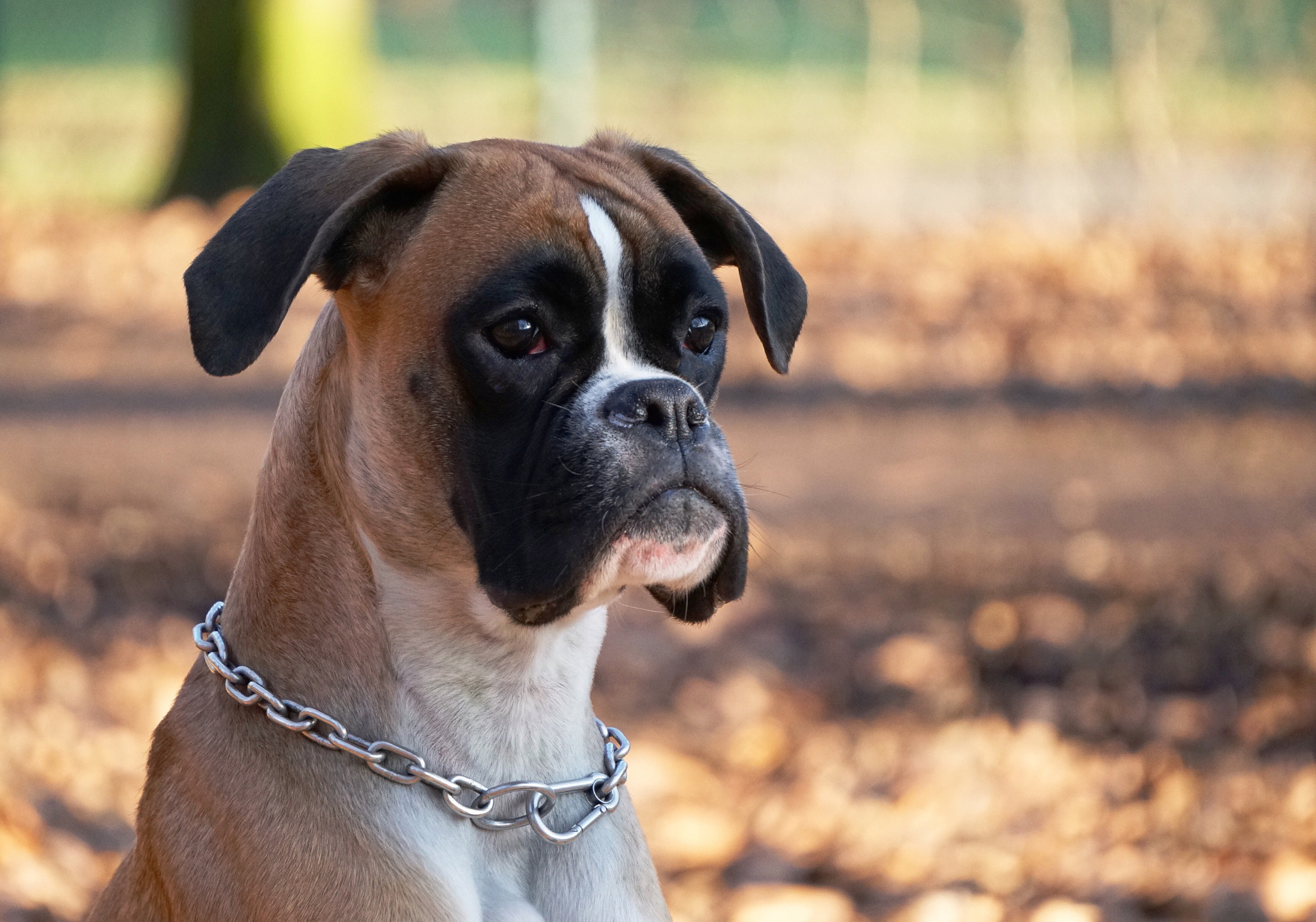 Sony E 55-210mm F4.5-6.3 OSS sample photo. Unsere paula mit 15 monaten photography