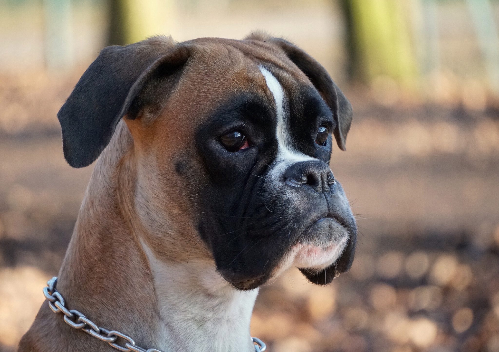 Sony E 55-210mm F4.5-6.3 OSS sample photo. Unsere paula mit 15 monaten 2 photography