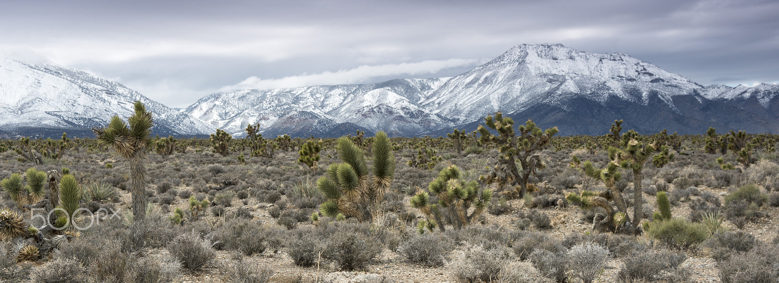 Nikon D800 sample photo. Cold creek photography