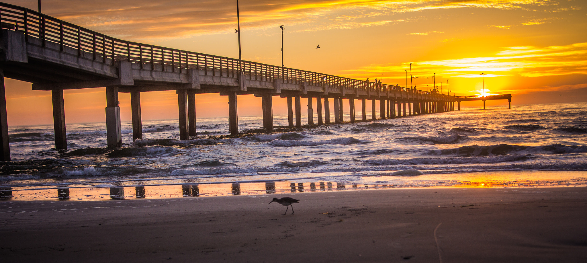 Canon EOS 60D sample photo. Sunrise pier photography