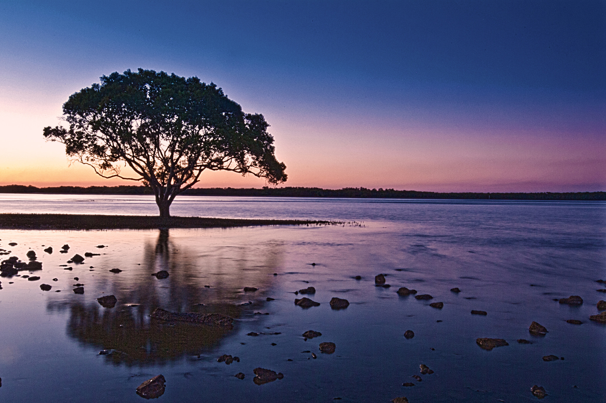 Pentax K-7 sample photo. Lone tree photography