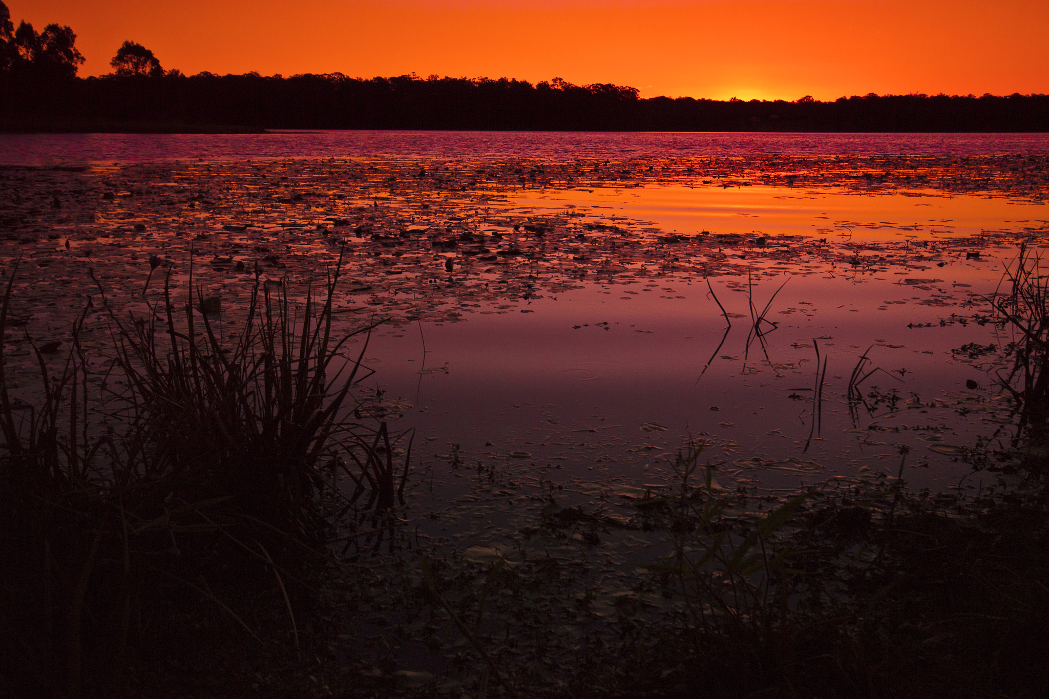 Pentax K-7 sample photo. Lake kurwongbah sunset photography
