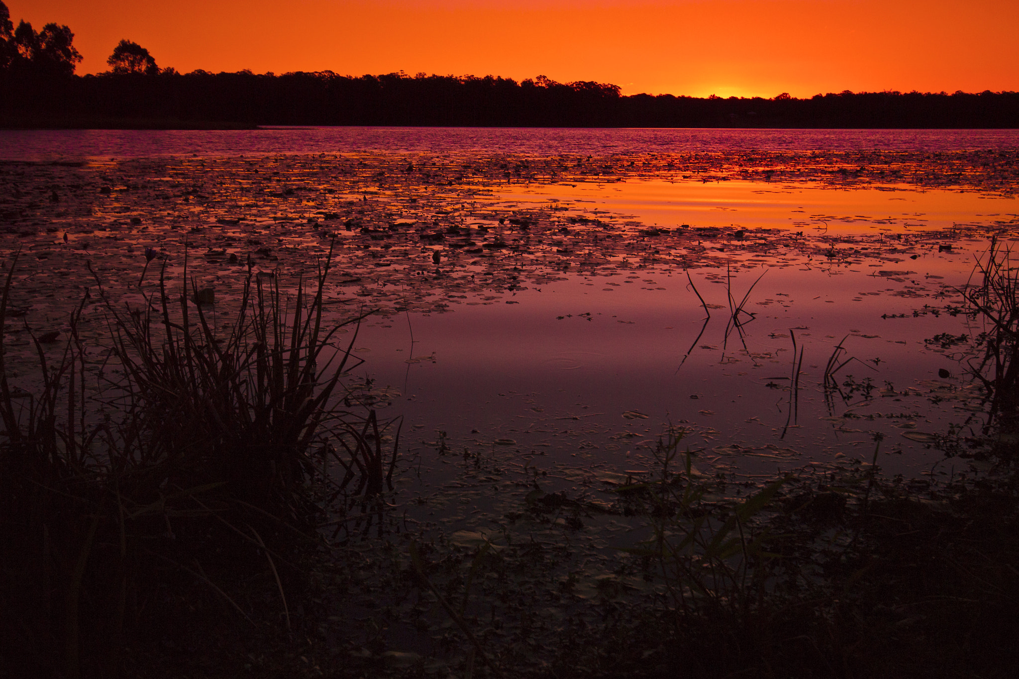 Pentax K-7 + Sigma AF 10-20mm F4-5.6 EX DC sample photo. Lake kurwongbah sunset photography