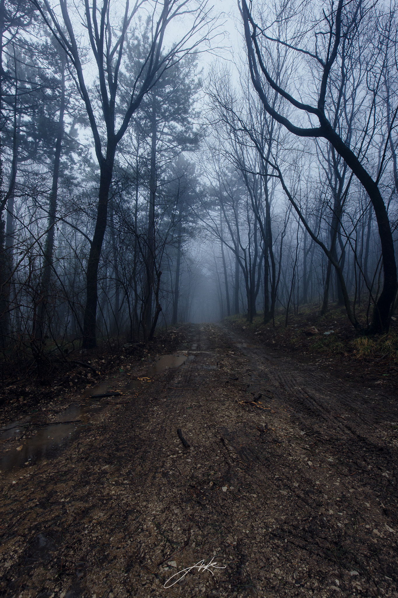Canon EOS-1Ds Mark III sample photo. Murky path photography
