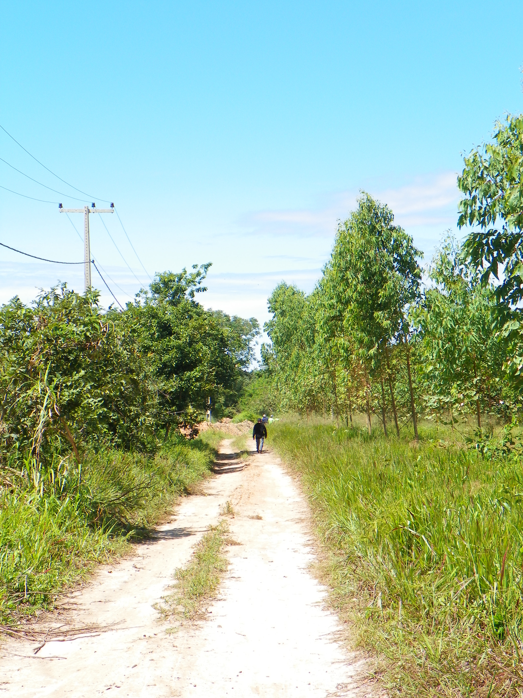 Kodak EasyShare Z981 sample photo. () photography