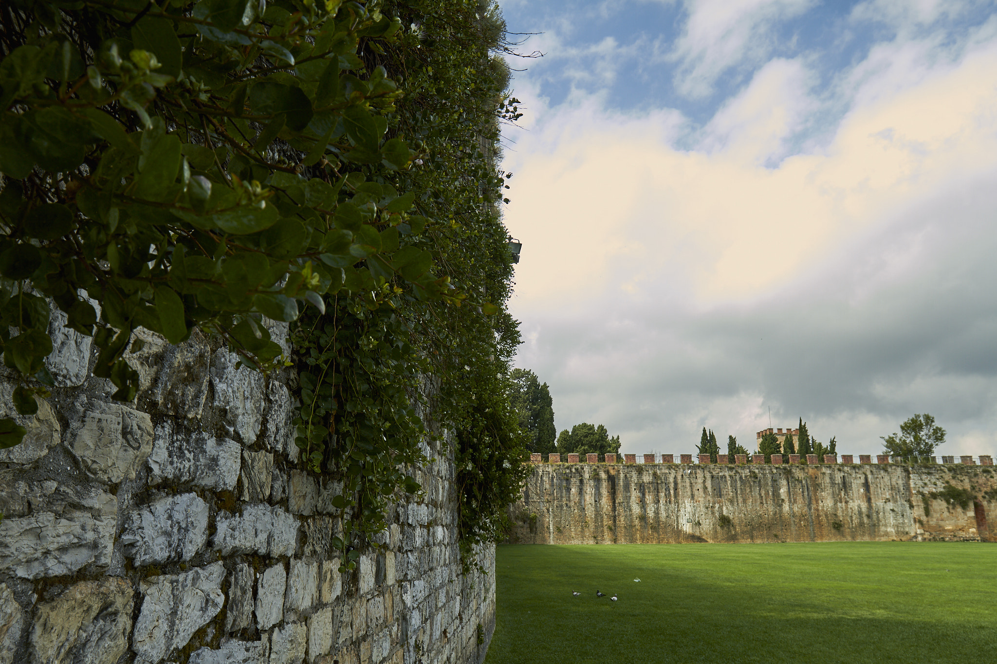 Canon EF 16-35mm F4L IS USM sample photo. Wall photography