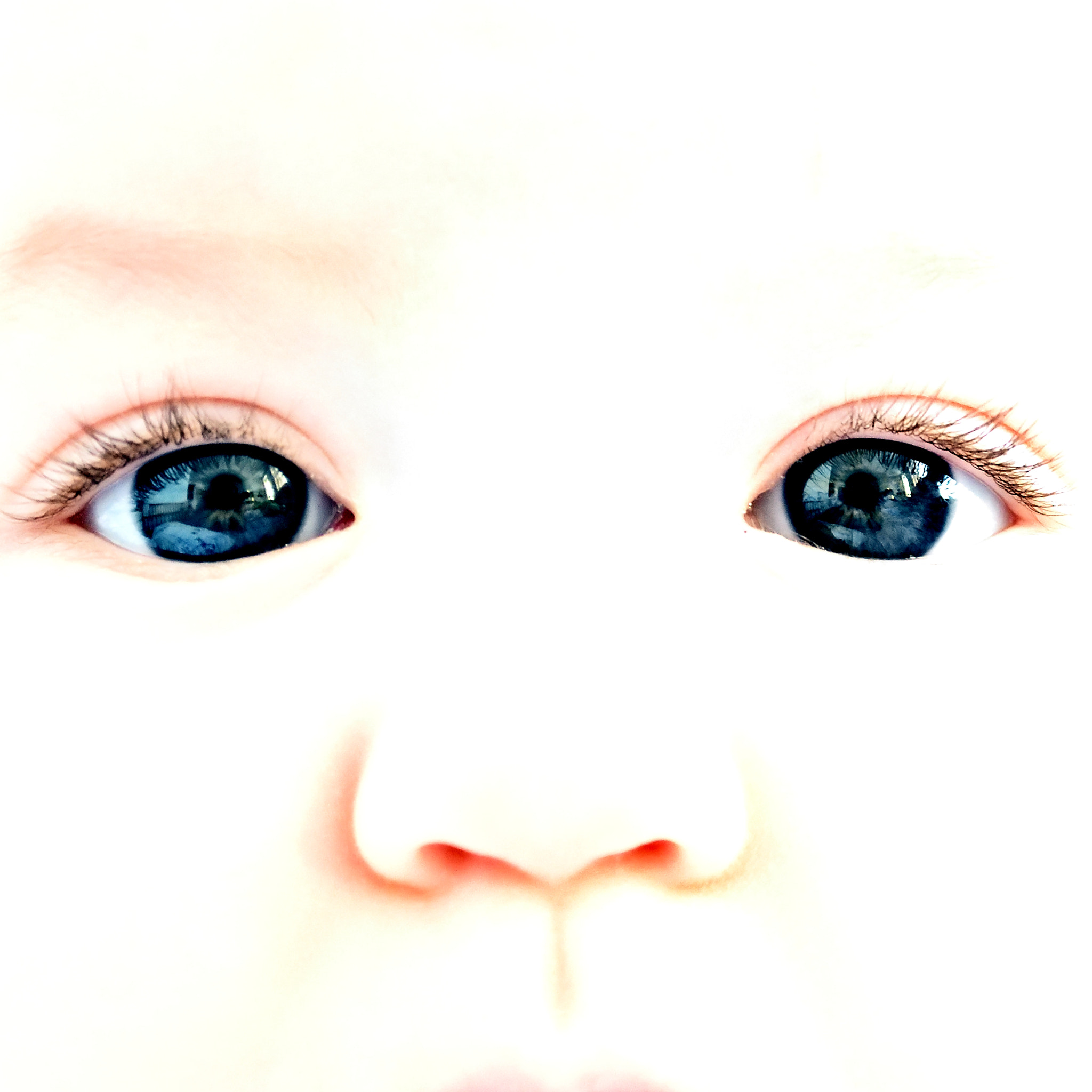 Nikon D500 sample photo. @_@ photography
