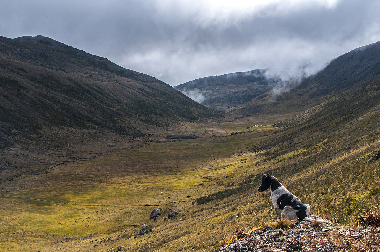 Nikon D300 sample photo. Valle a los verdes photography