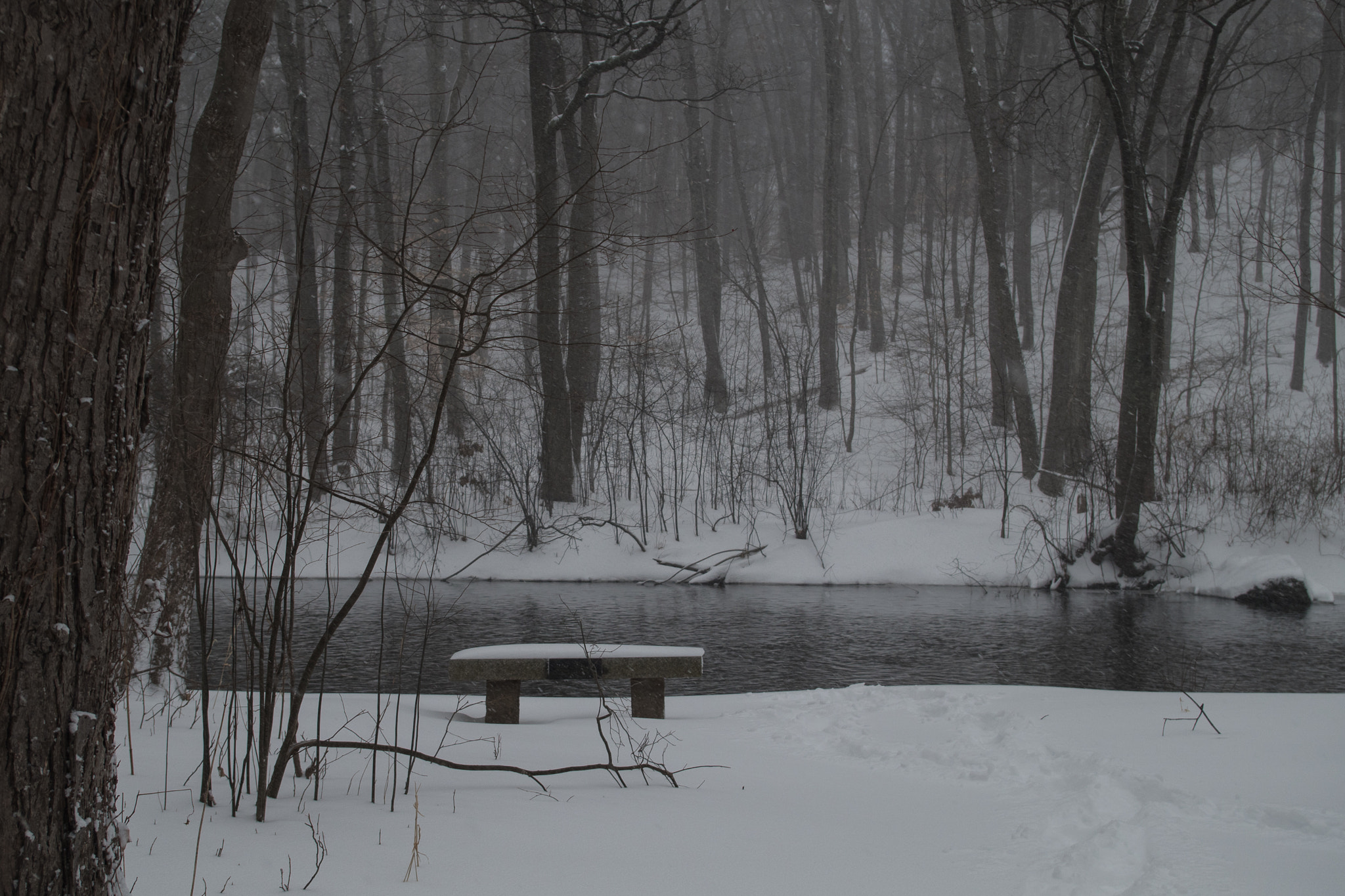 Pentax K-S2 sample photo. Empty bench ii photography