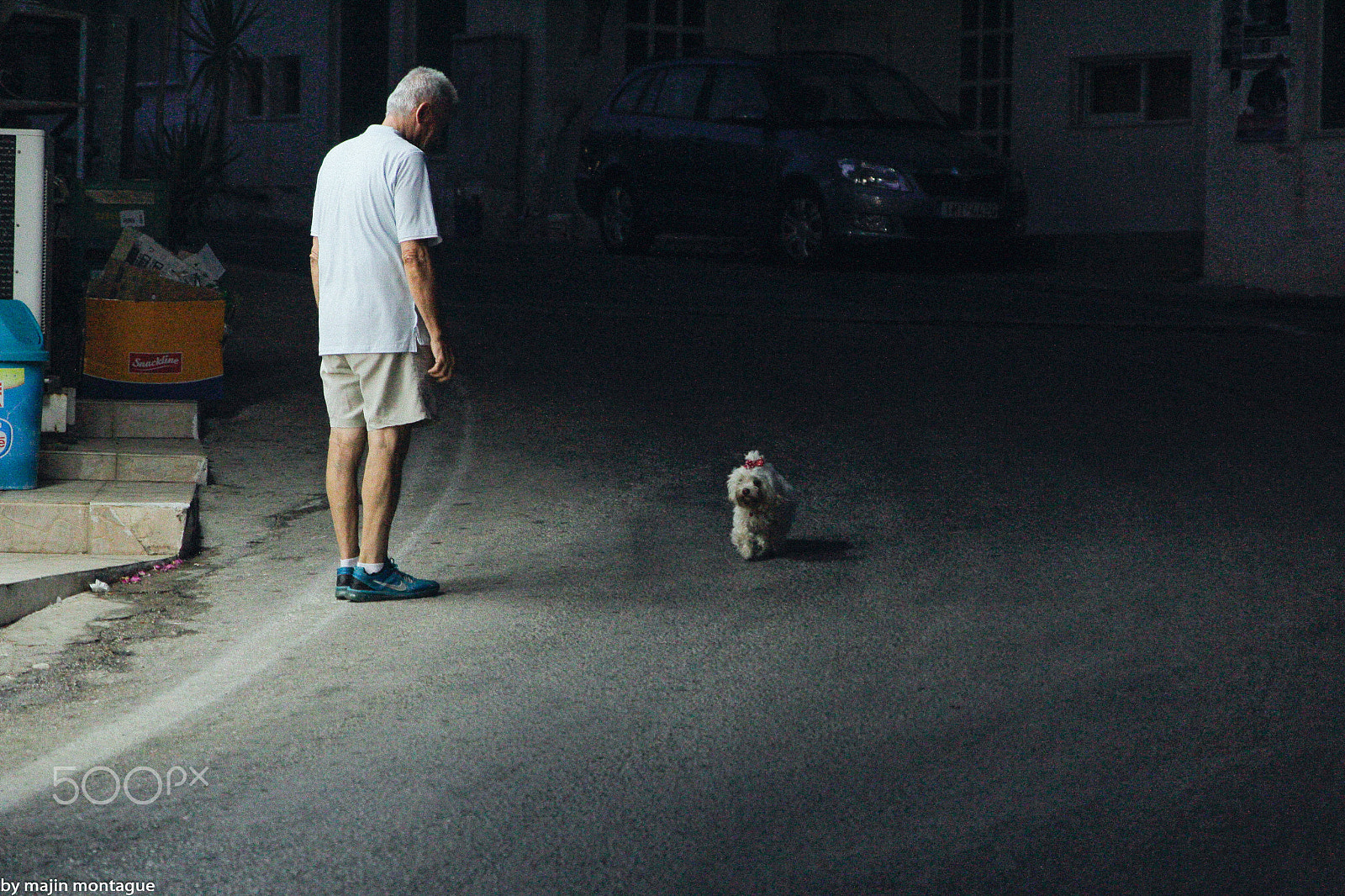 Canon EOS 550D (EOS Rebel T2i / EOS Kiss X4) + Sigma 24-70mm F2.8 EX DG Macro sample photo. Corfu dog#2 photography