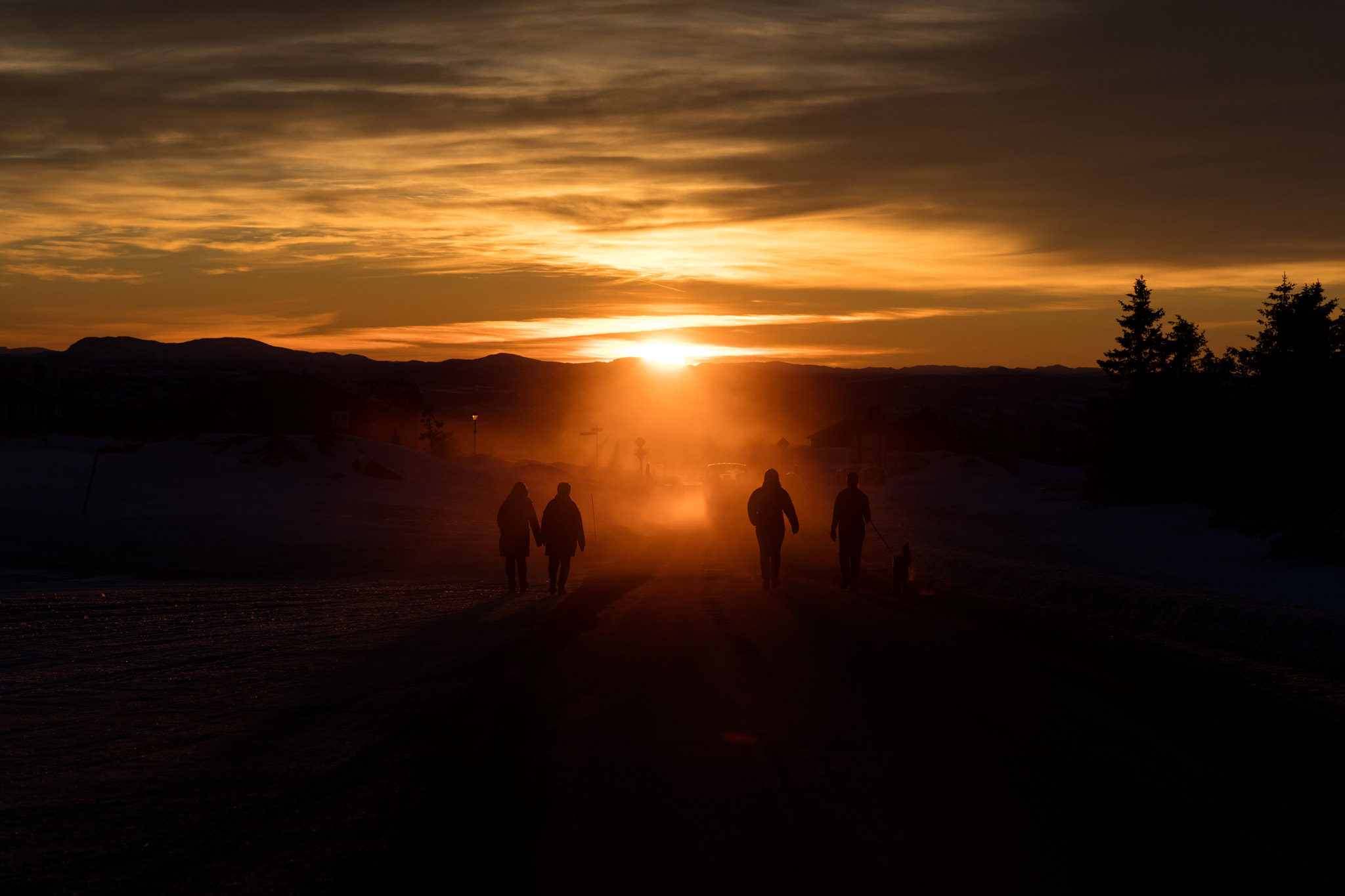 Canon EOS 5DS R sample photo. Into the light photography