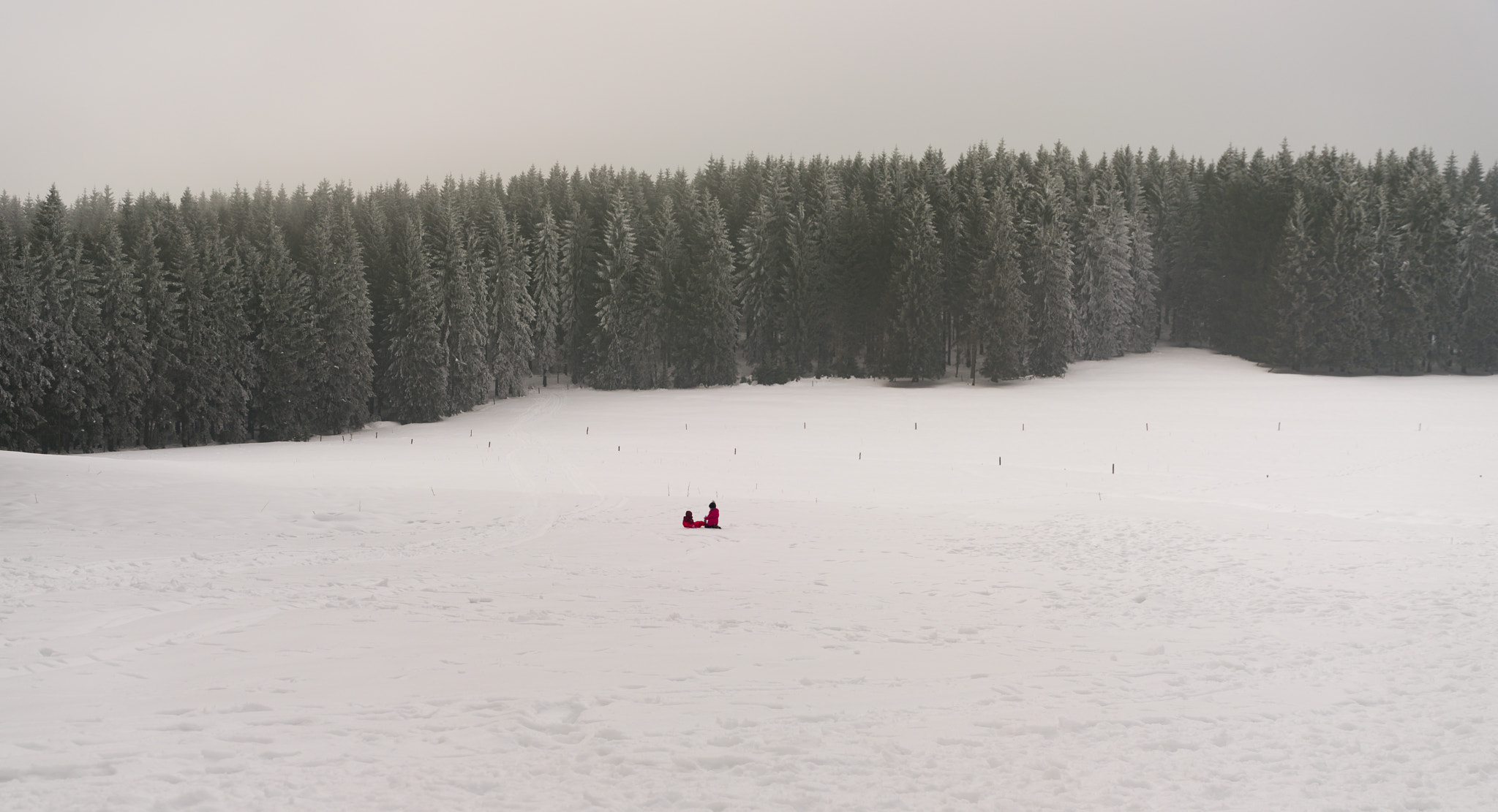 Sony a7R II sample photo. Two red dots on white photography