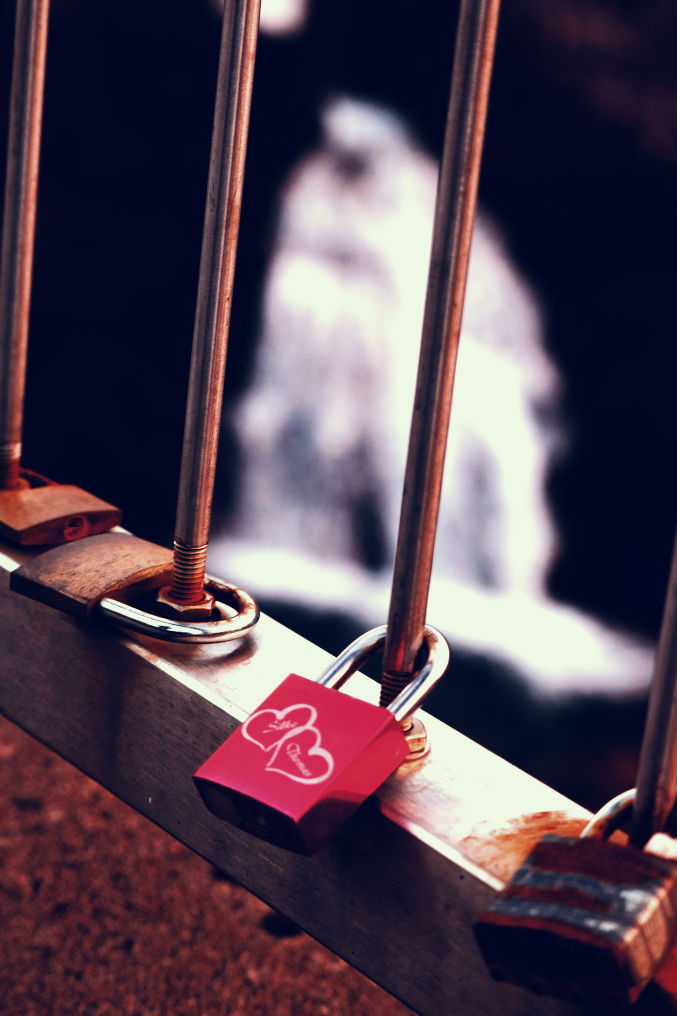 Canon EF-S 55-250mm F4-5.6 IS STM sample photo. Love locks photography
