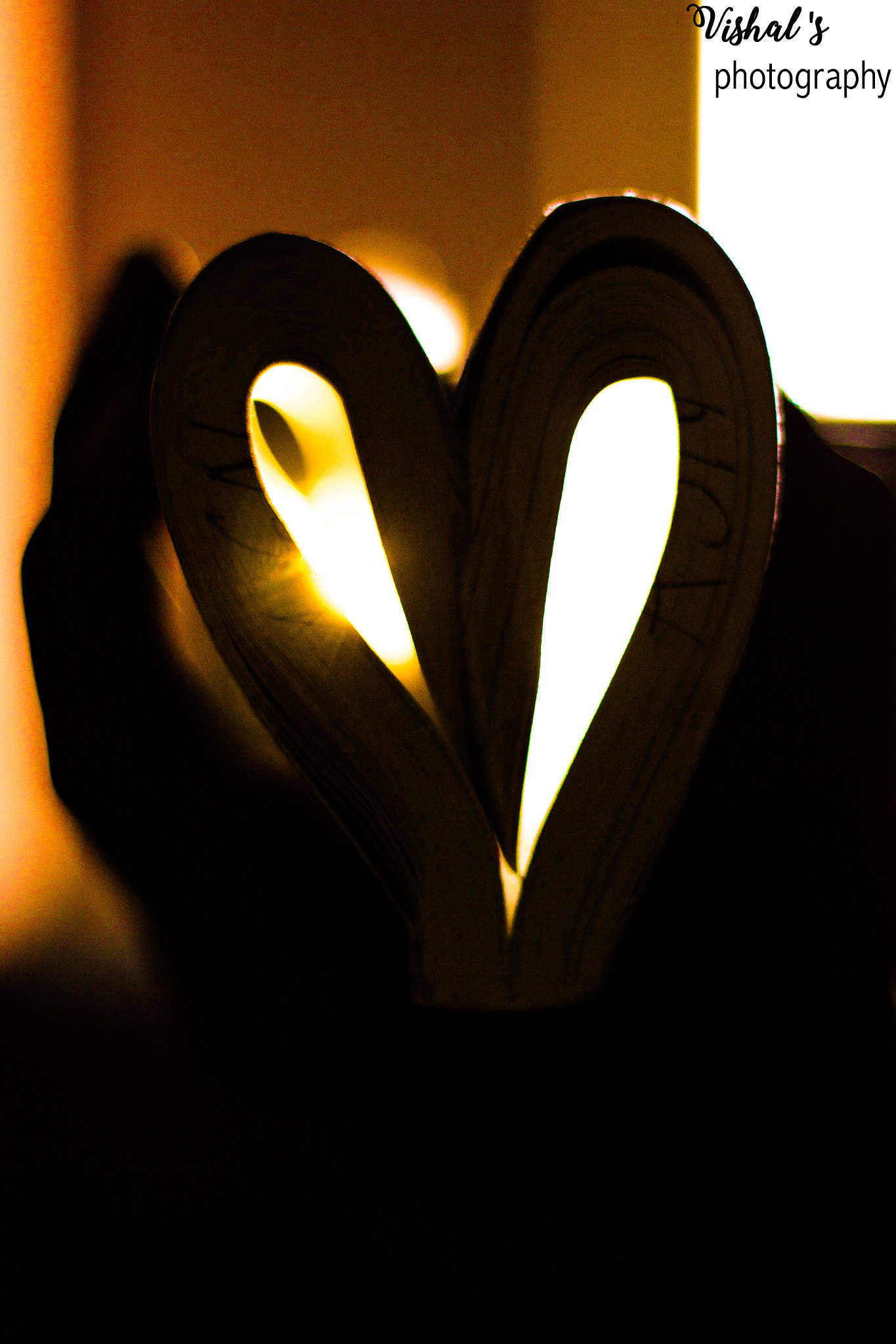 Canon EOS 550D (EOS Rebel T2i / EOS Kiss X4) sample photo. Happy valentine's day plp❤️ photography