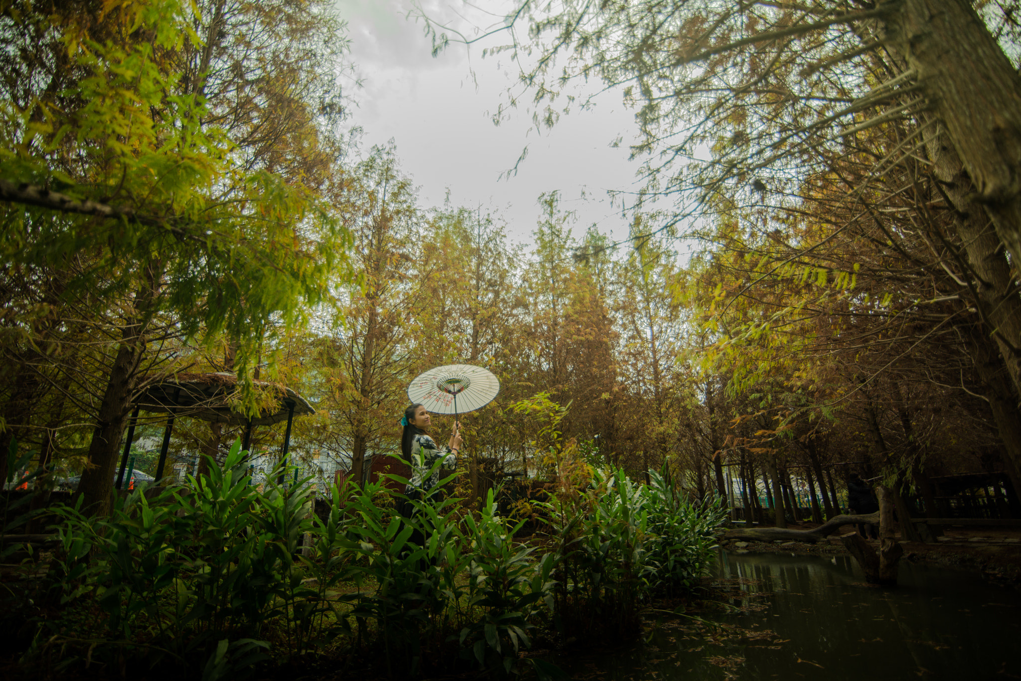 Tokina AT-X 16-28mm F2.8 Pro FX sample photo. Dsc photography